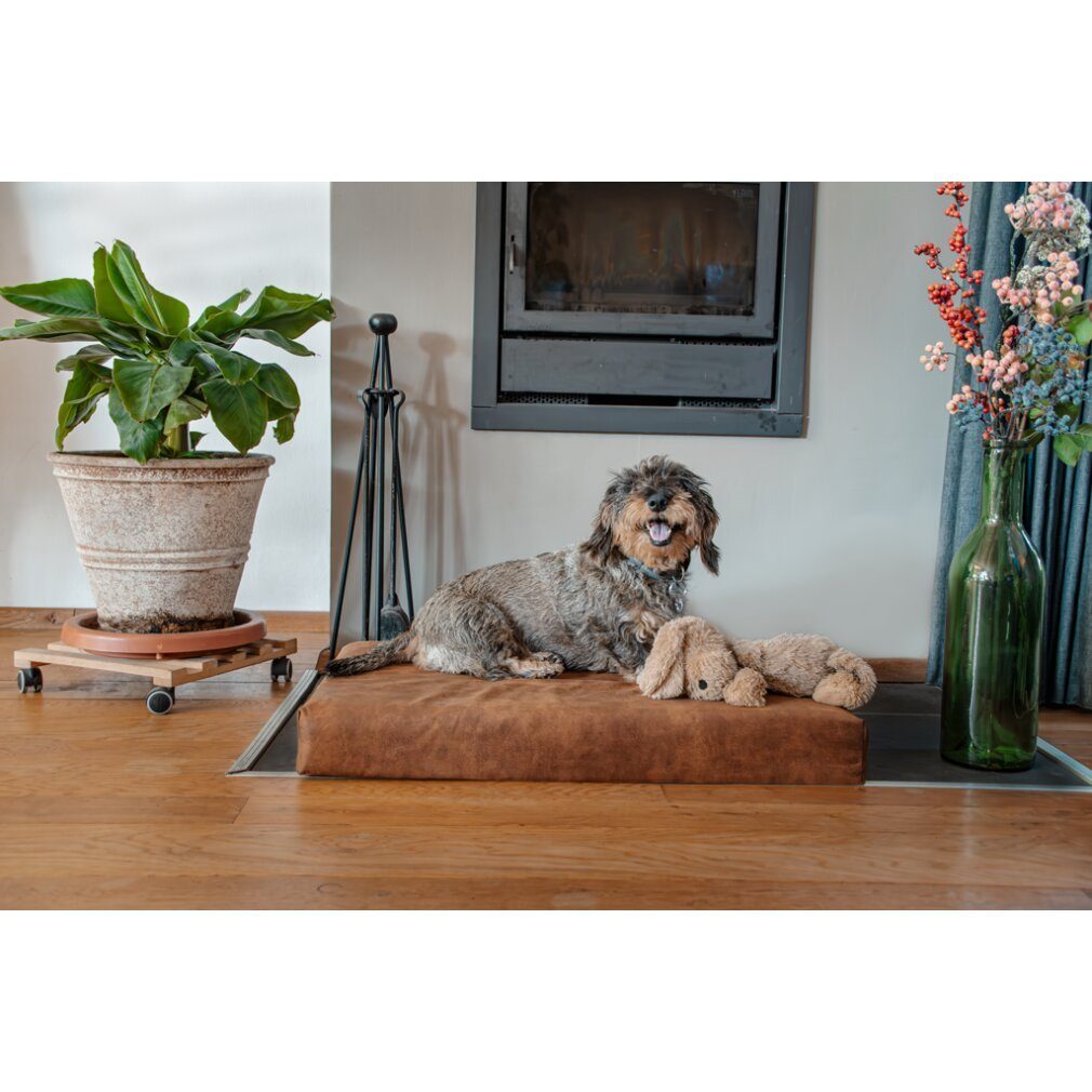 Holland Animal Care Tierkissen Let's Sleep Mellow Mattress Orthopädisches Bett XL Taupe