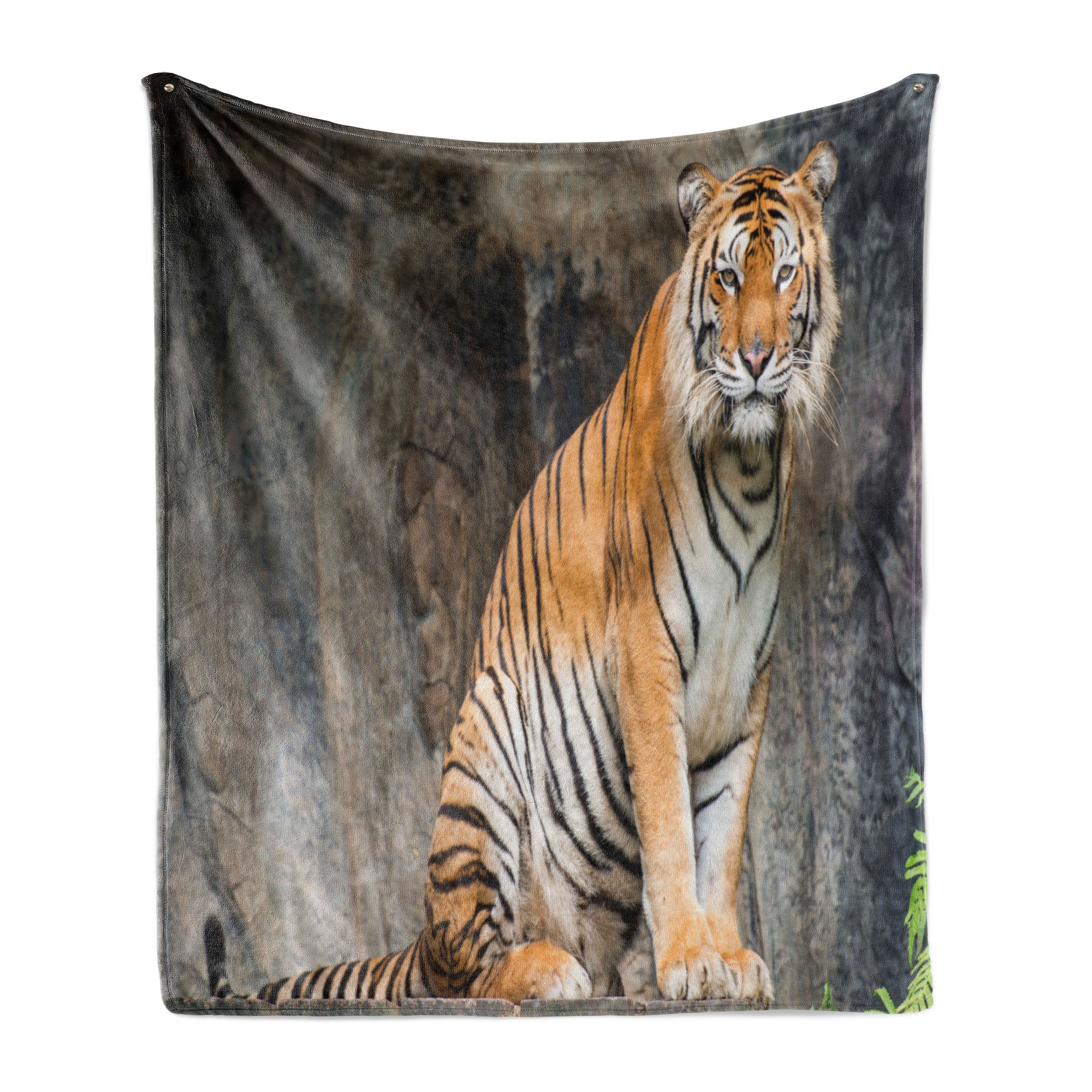 Wohndecke Gemütlicher Plüsch für den Innen- und Außenbereich, Abakuhaus, Zoo Bengal-Tiger-Katze Predator