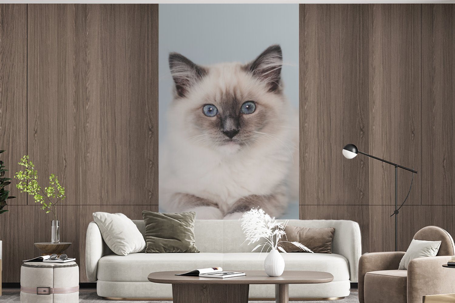 Katze - - Blau Matt, Vliestapete Wohnzimmer - Schlafzimmer Mädchen Fototapete Küche, Kind, Ragdoll - St), Fototapete - Kinder MuchoWow (2 für bedruckt, Jungen Katze -