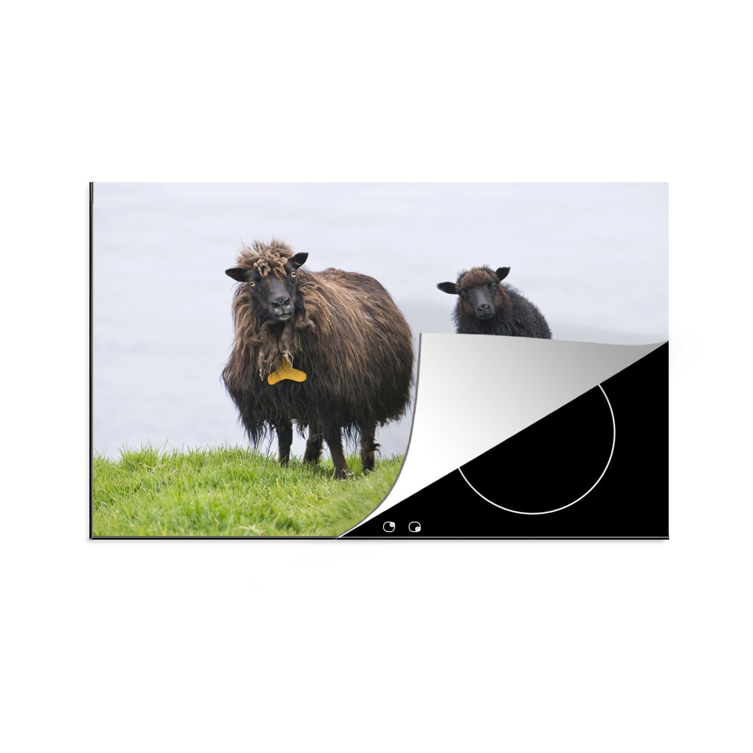 Schutz MuchoWow - Meer, die - tlg), küche, cm, Ceranfeldabdeckung Braun (1 für Schafe Herdblende-/Abdeckplatte Induktionskochfeld 81x52 Vinyl,