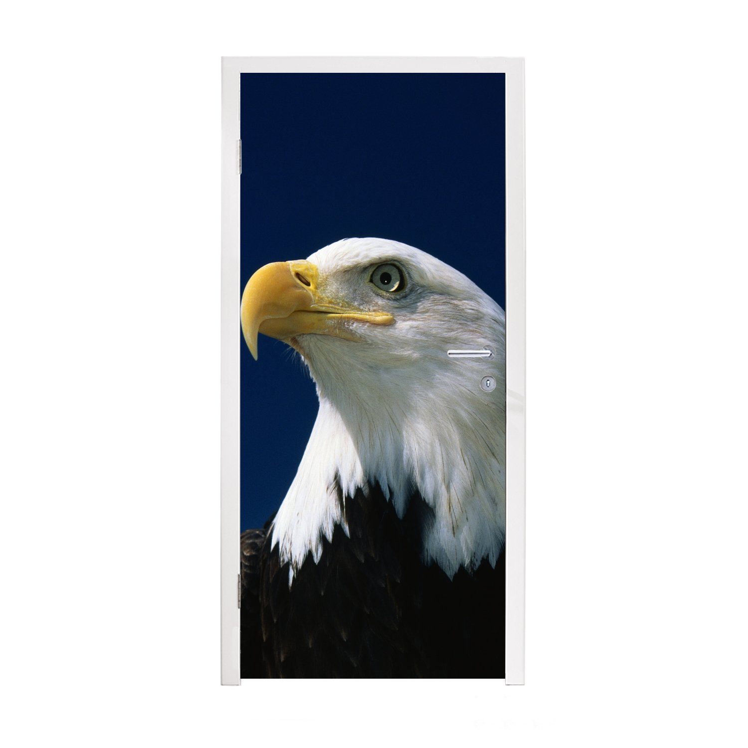 MuchoWow Türtapete Ein Weißkopfseeadler schaut in einen blauen Himmel, Matt, bedruckt, (1 St), Fototapete für Tür, Türaufkleber, 75x205 cm
