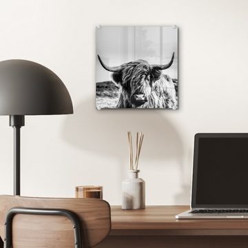 MuchoWow Acrylglasbild Kuh - Schottischer Hochländer - Schwarz - Weiß - Tier - Natur -, (1 St), Glasbilder - Bilder auf Glas Wandbild - Foto auf Glas - Wanddekoration