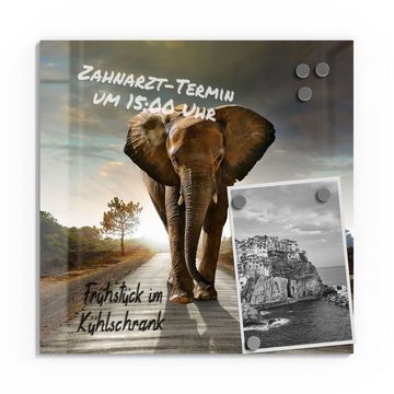 DEQORI Magnettafel 'Elefant auf Asphalt', Whiteboard Pinnwand beschreibbar