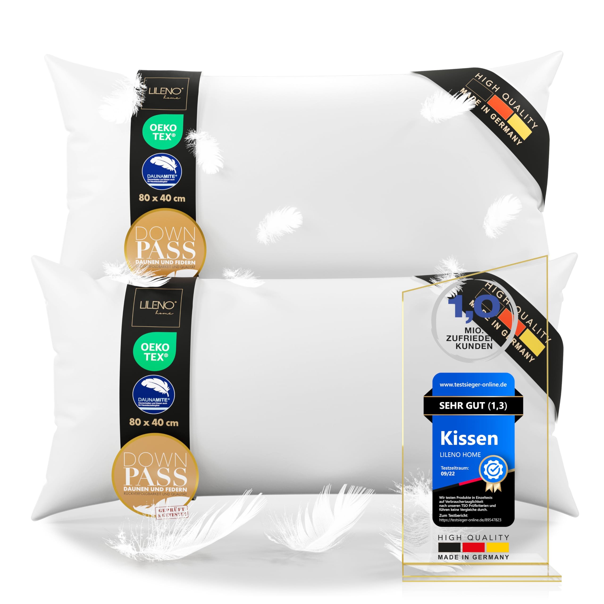LILENO HOME 3-Kammer-Kopfkissen - Daunenkissen 40x80 günstig online kaufen