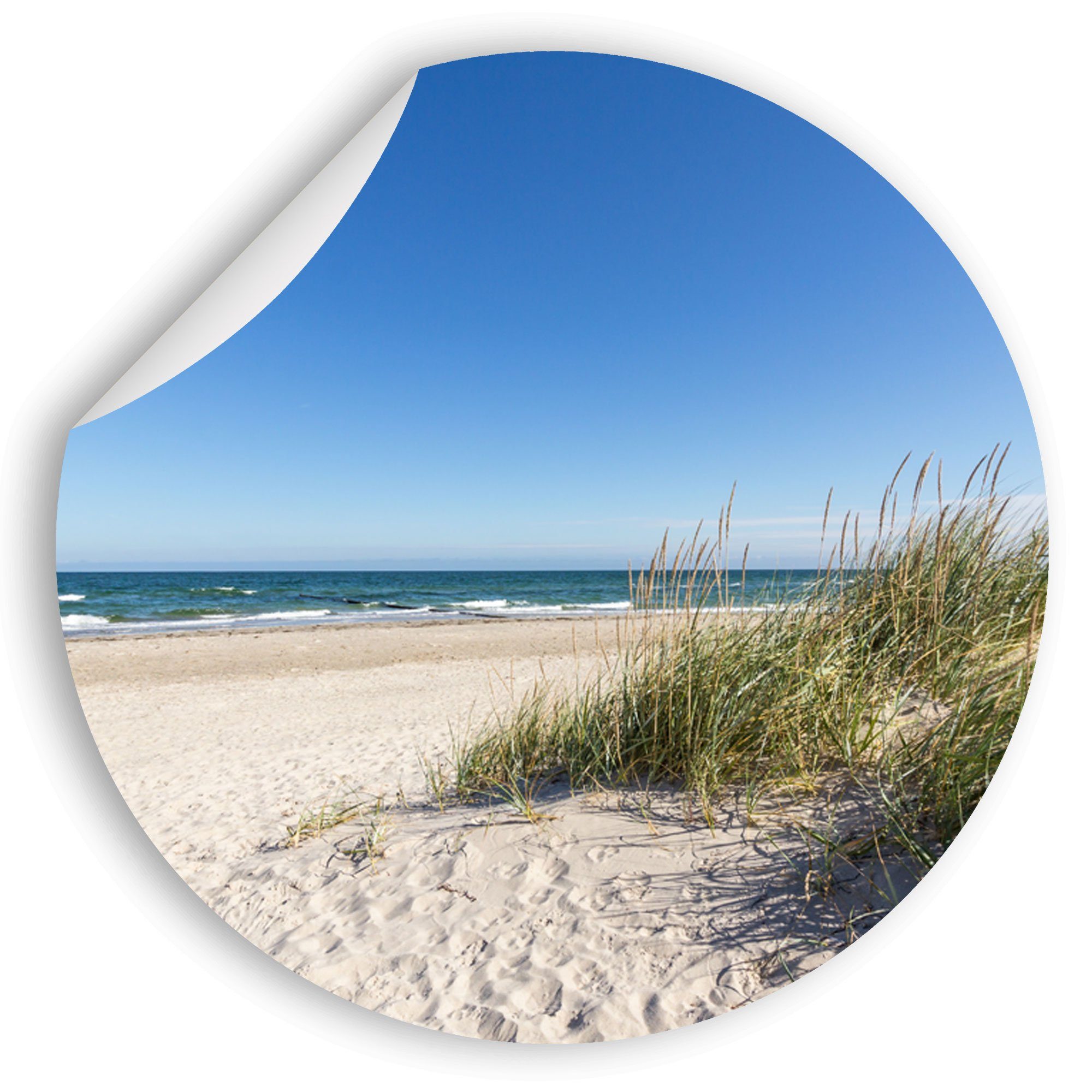 WallSpirit Wandsticker Wandaufkleber rund "Ostseedüne", Selbstklebend, günstig online kaufen