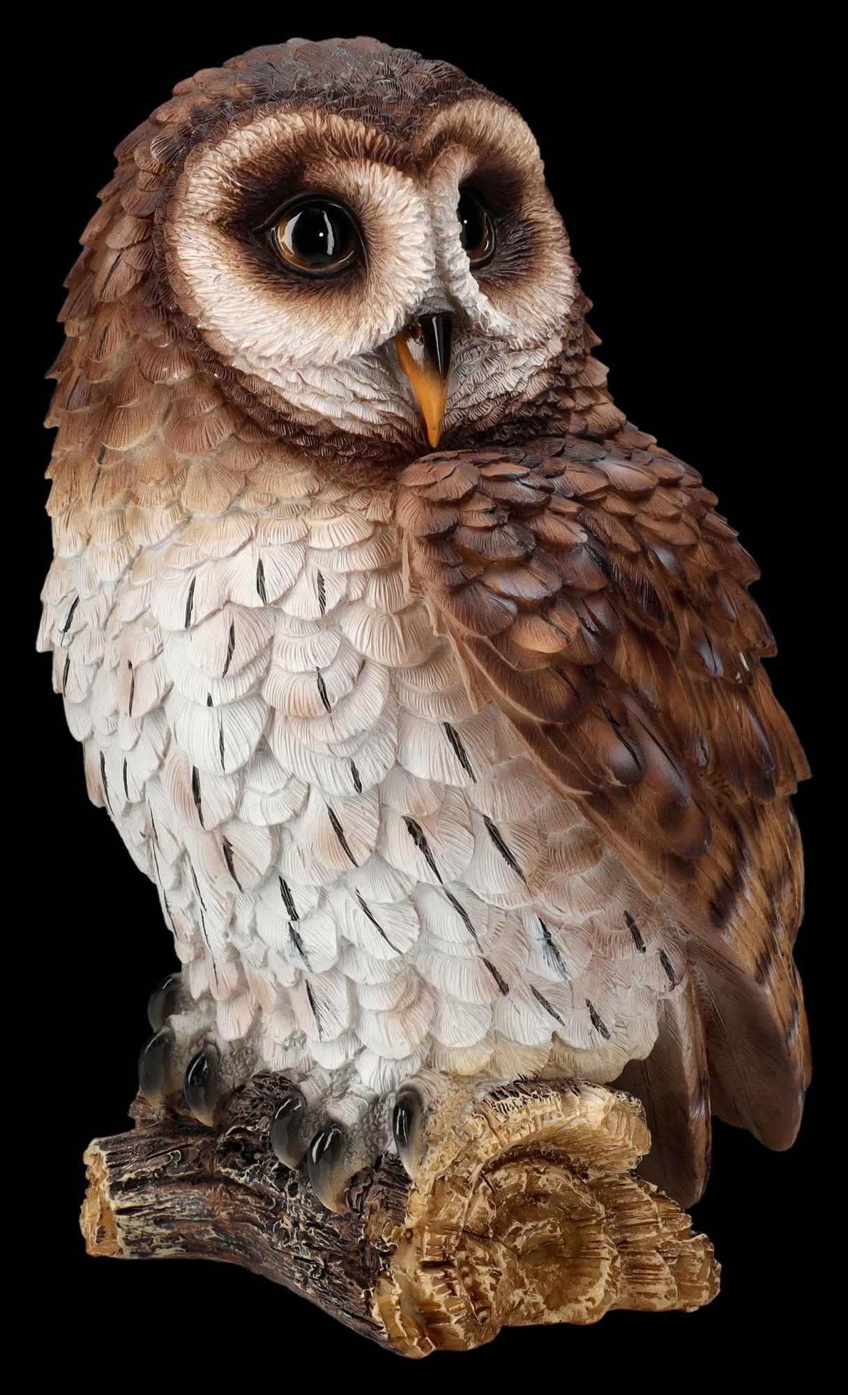 Figuren Shop GmbH Tierfigur Gartenfigur - Eule starrt - HotAnt - Tierfigur günstig online kaufen