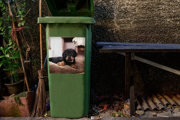MuchoWow Wandsticker Rottweiler-Welpe liegt auf einem weichen Kopfkissen (1 St), Mülleimer-aufkleber, Mülltonne, Sticker, Container, Abfalbehälter