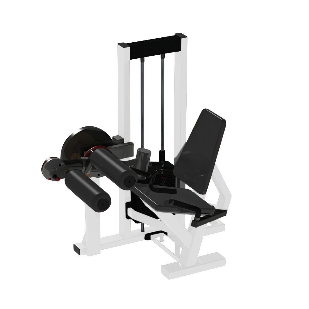 Kraftstation Beinbeuge-/Streck-Maschine SQ