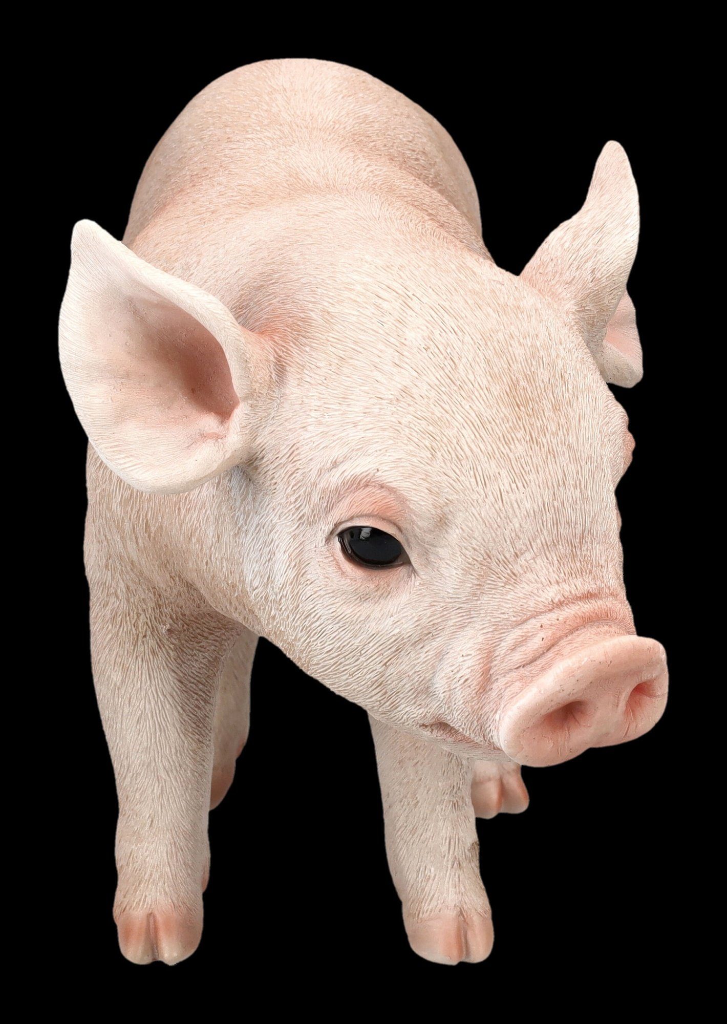 Figuren Shop GmbH Tierfigur Schweine Ferkel Schwein Schweinchen Tierdekofigur Dekoration Figur - 