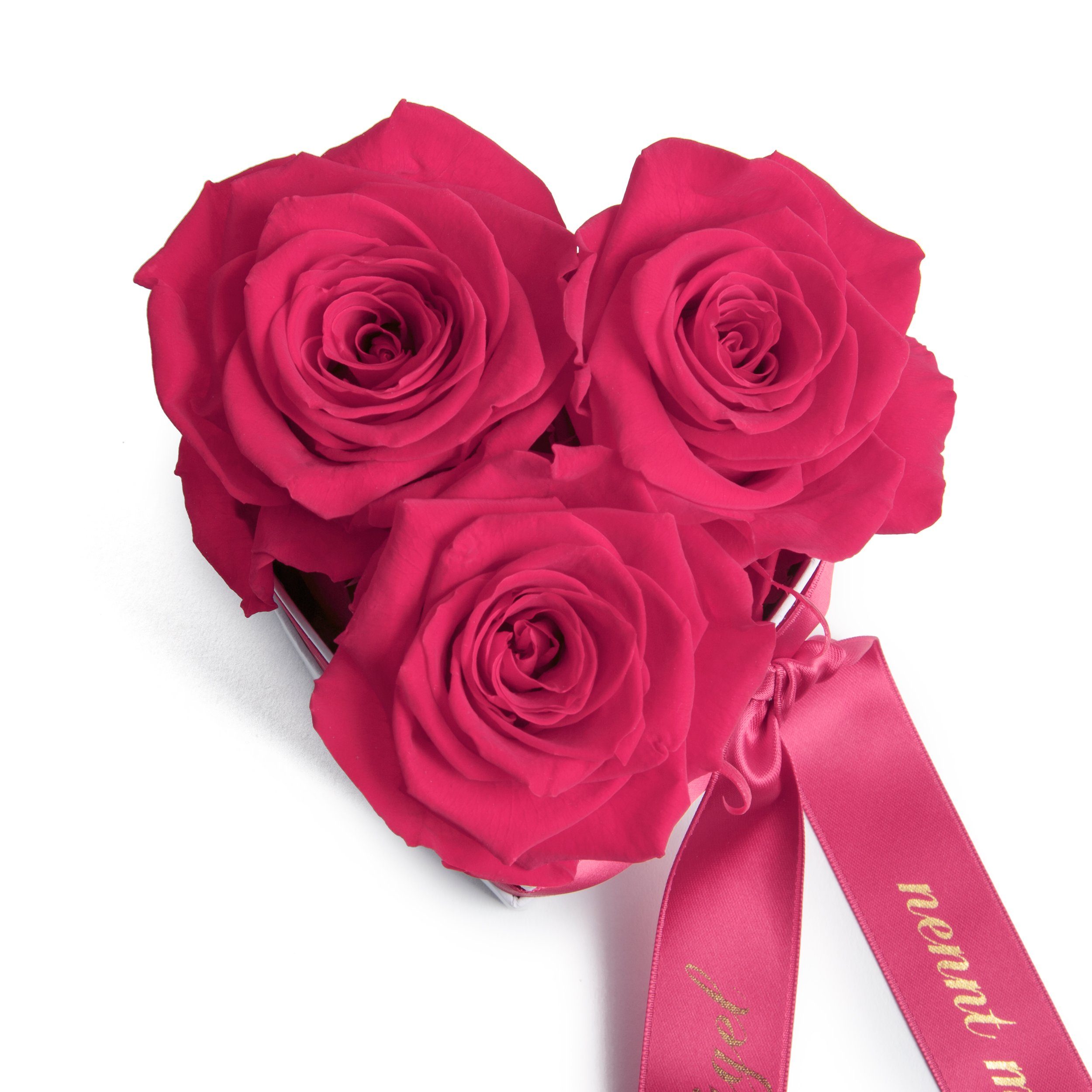 10 3 konserviert Herz Rose, Höhe Rosen haltbar man Mama Rosen ohne Heidelberg, Rosenbox Pink Flügel Kunstblume lange cm, Echte nennt ROSEMARIE SCHULZ Engel