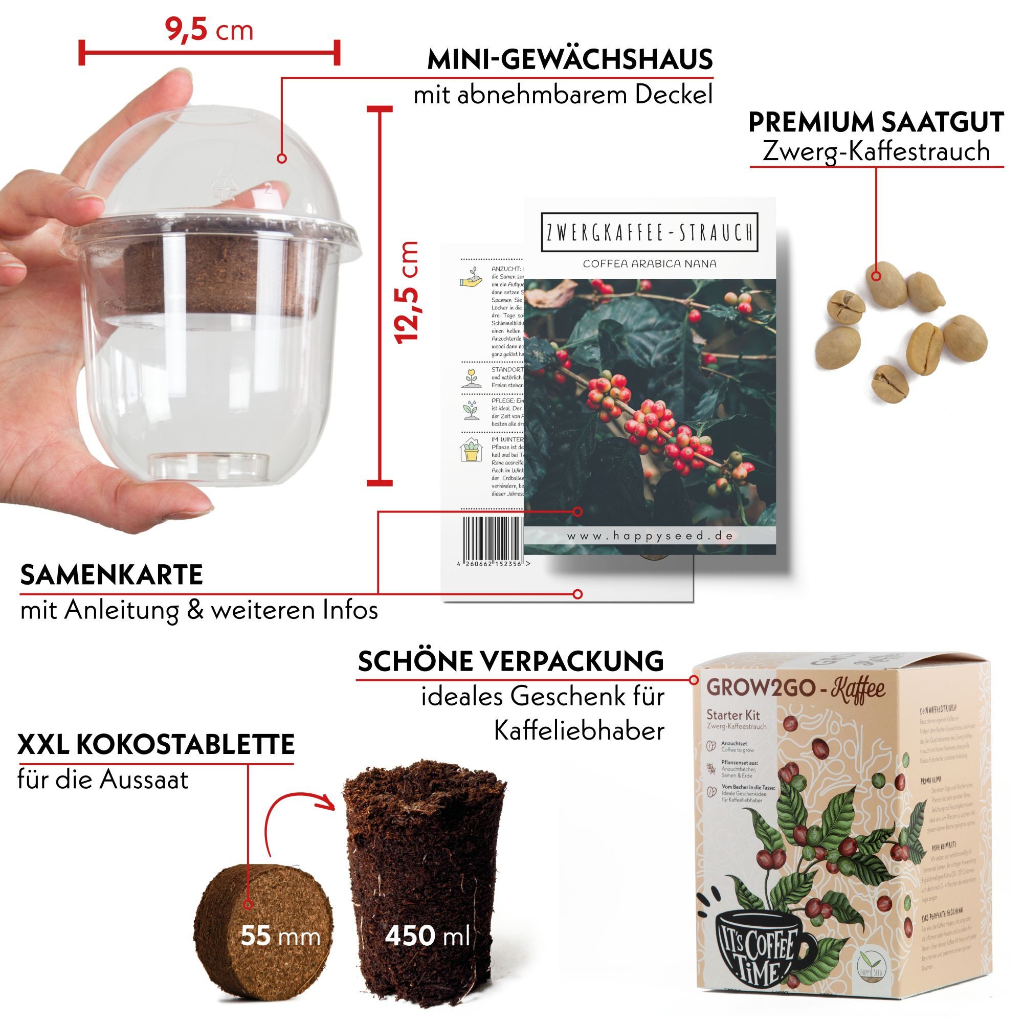 HappySeed Blumensamen Der eigene Zwergkaffee zum günstig online kaufen