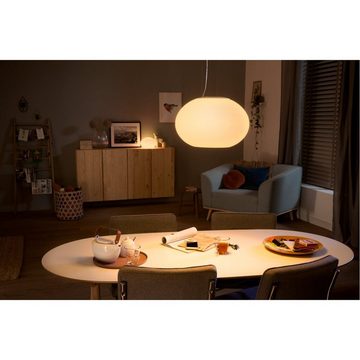 Philips Hue White&Color Ambiance Flourish Pendelleuchte Smarte Lampe