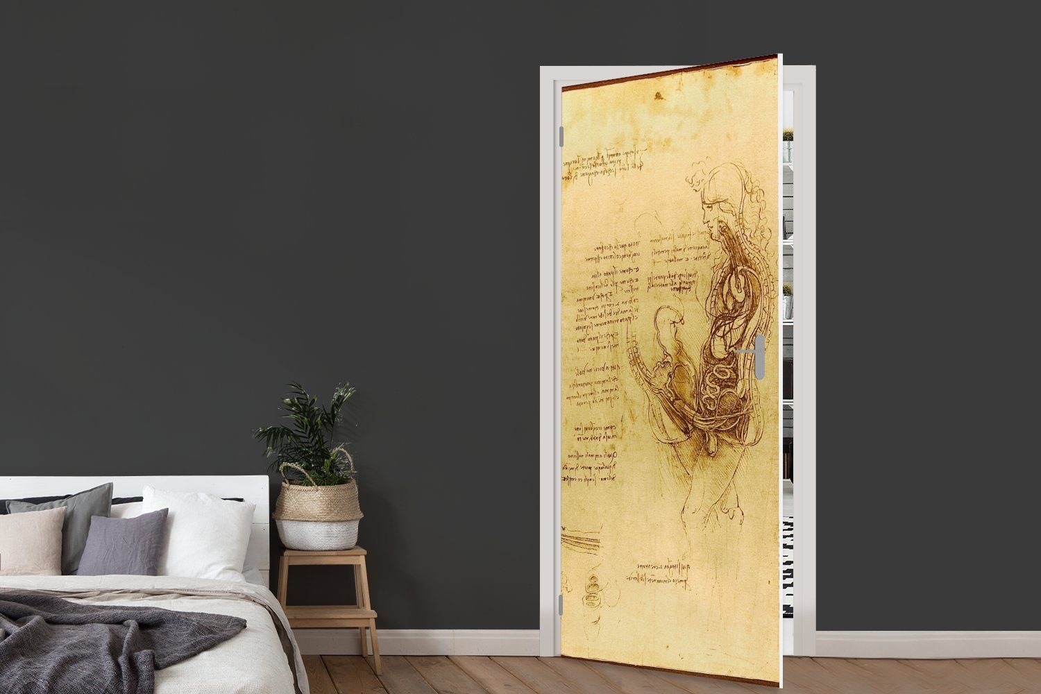 Die 75x205 Leonardo Fortpflanzung Vinci, menschliche Fototapete - bedruckt, für St), (1 Tür, Matt, Türaufkleber, da Türtapete cm MuchoWow