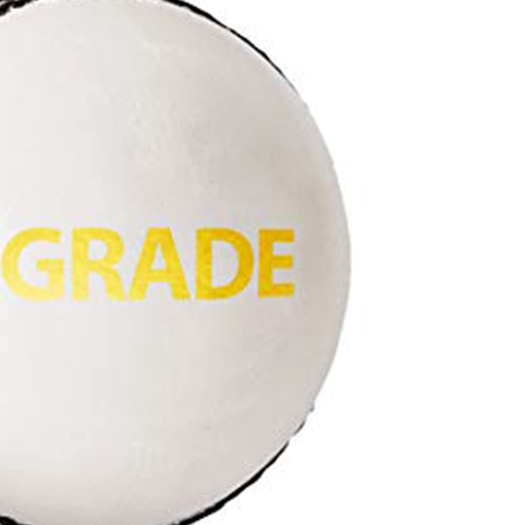 DSC Spielball Grade Leder Cricket Ball Wasserdichtes Leder Ball (Inhalt des Kartons: 1 Cricket-Ball, verbessert Schwung und Spin für präzisionsorientierte Kegler), Turnier Spiel, Top Qualität Kork