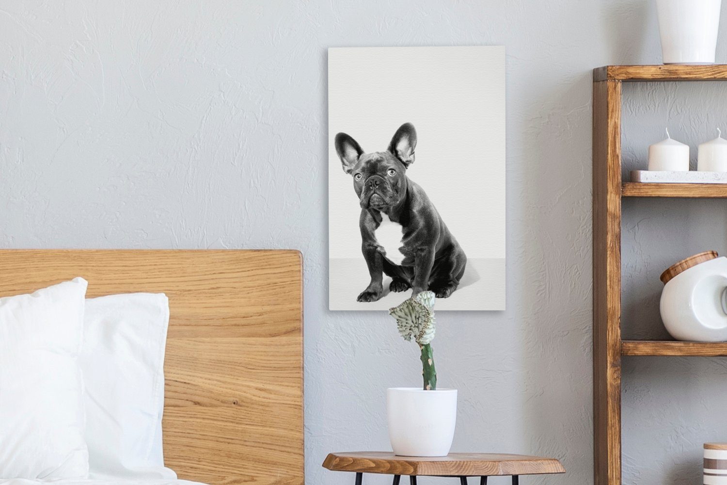 Leinwandbild Leinwandbild einer St), Zackenaufhänger, OneMillionCanvasses® cm Bulldogge weiß, bespannt und fertig - (1 Studio-Porträt inkl. 20x30 Gemälde, schwarz französischen