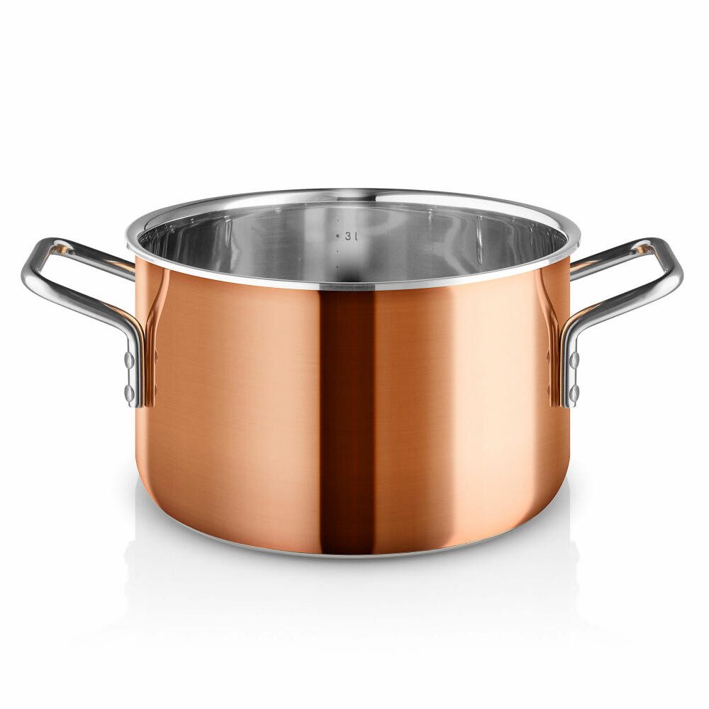 Eva Solo Kochtopf Ø20cm 3.9L, Edelstahl