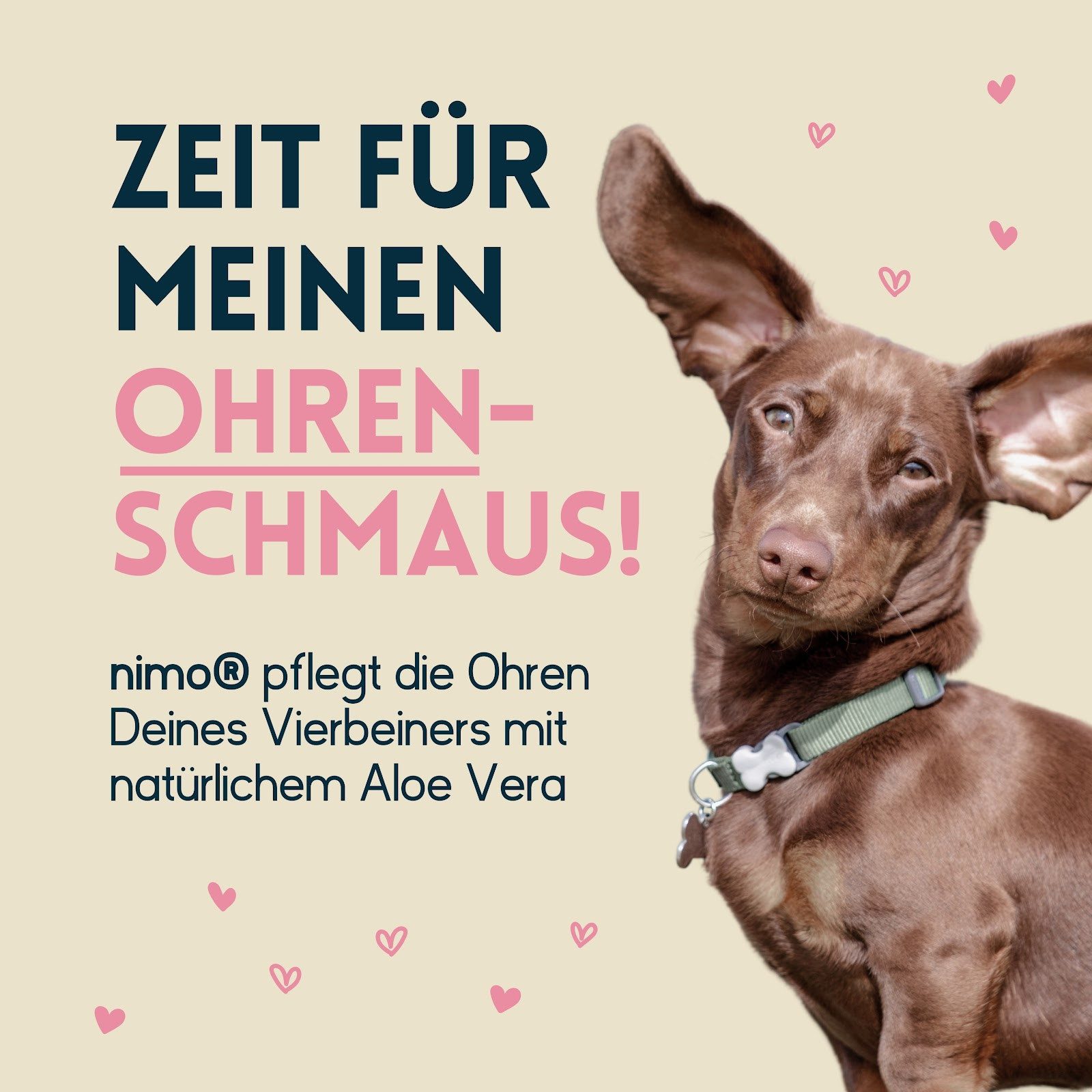 nimo Gesichts- und Körperspray Ohrenreiniger, 1-tlg., gegen Juckreiz & Entzündungen