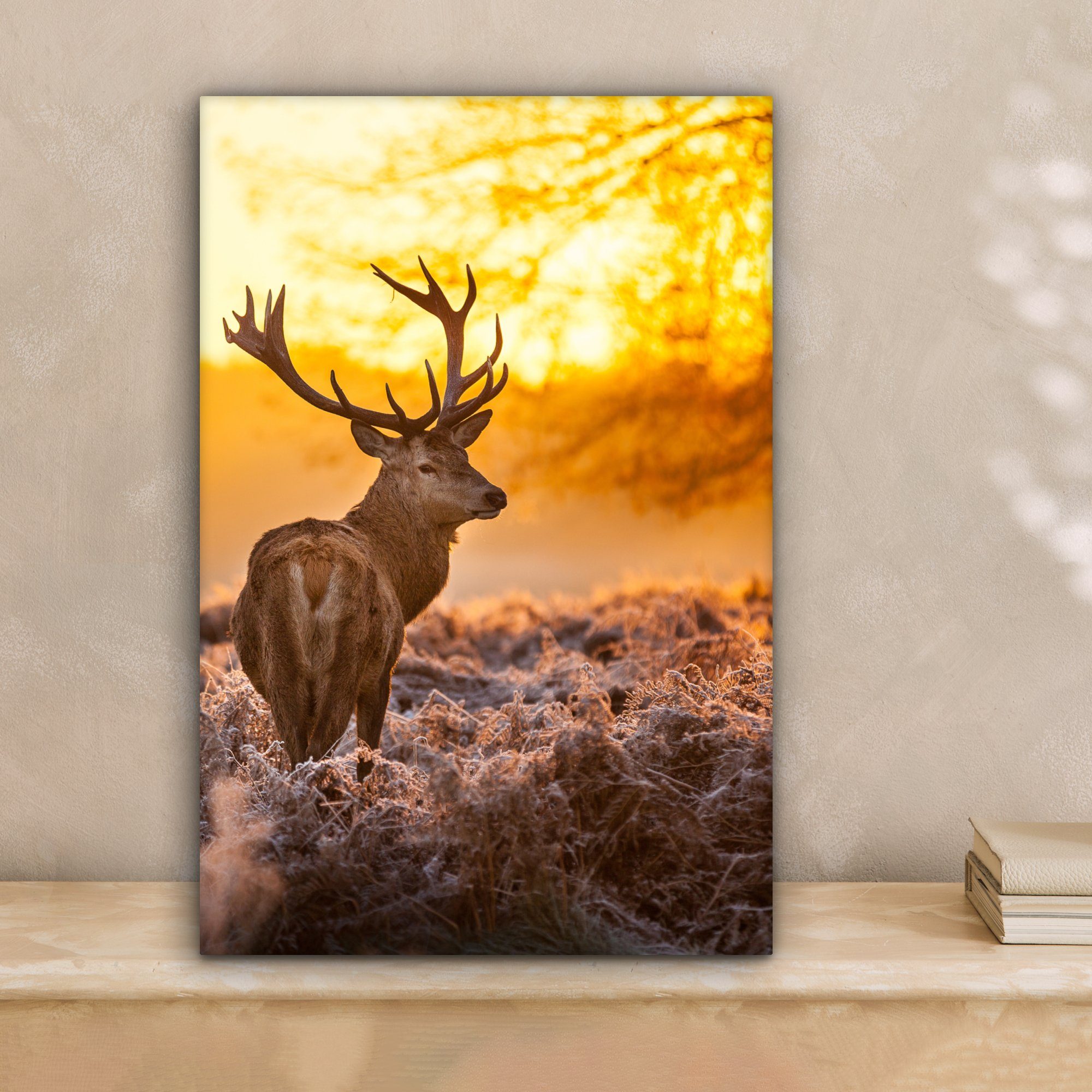OneMillionCanvasses® Leinwandbild Hirsche - Tiere - Sonnenuntergang - Winte günstig online kaufen