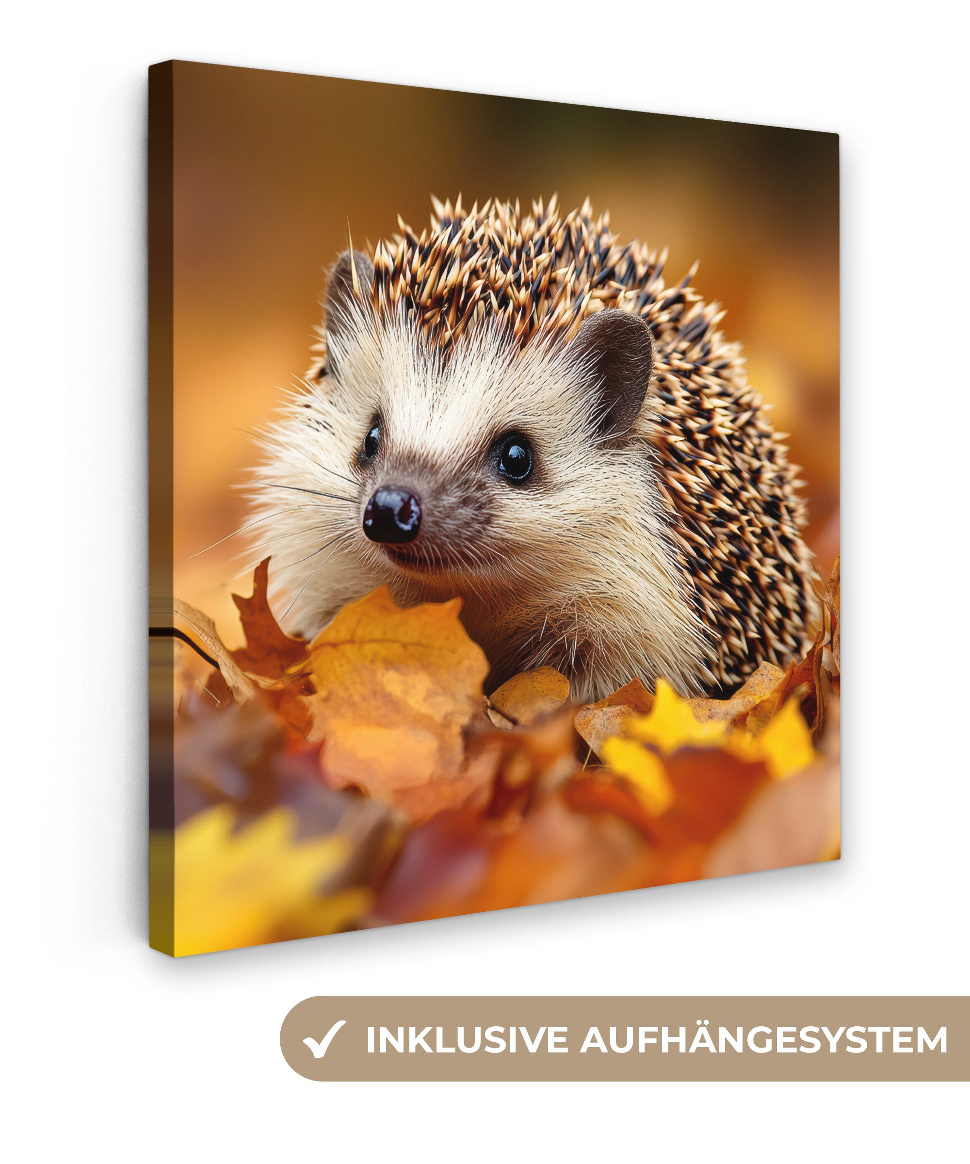 OneMillionCanvasses® Leinwandbild Igel - Wald - Herbstblätter - Herbst - Wa günstig online kaufen
