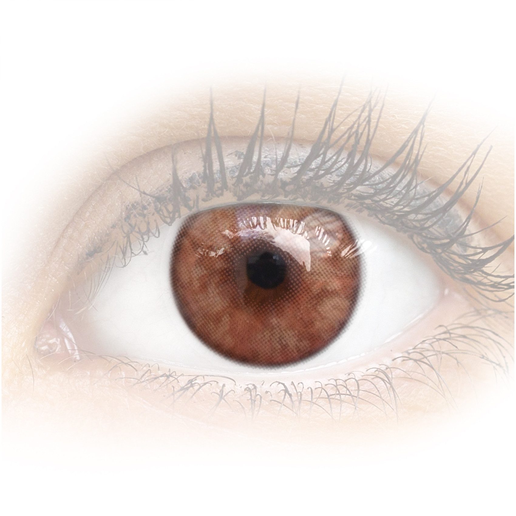 GLAMLENS Monatslinsen Sehr stark deckende und natürliche braune Linsen "Lucca Brown"