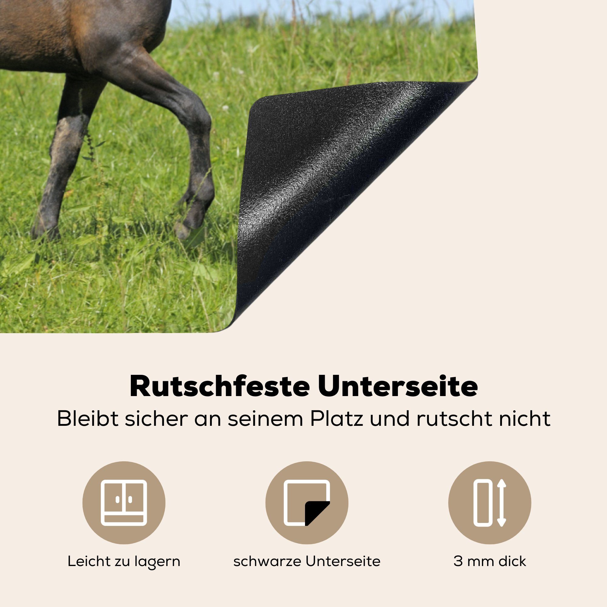 Herdblende-/Abdeckplatte Gras, (1 - Schutz für die Tiere tlg), Induktionskochfeld cm, Pferde Ceranfeldabdeckung MuchoWow küche, Vinyl, 81x52 -