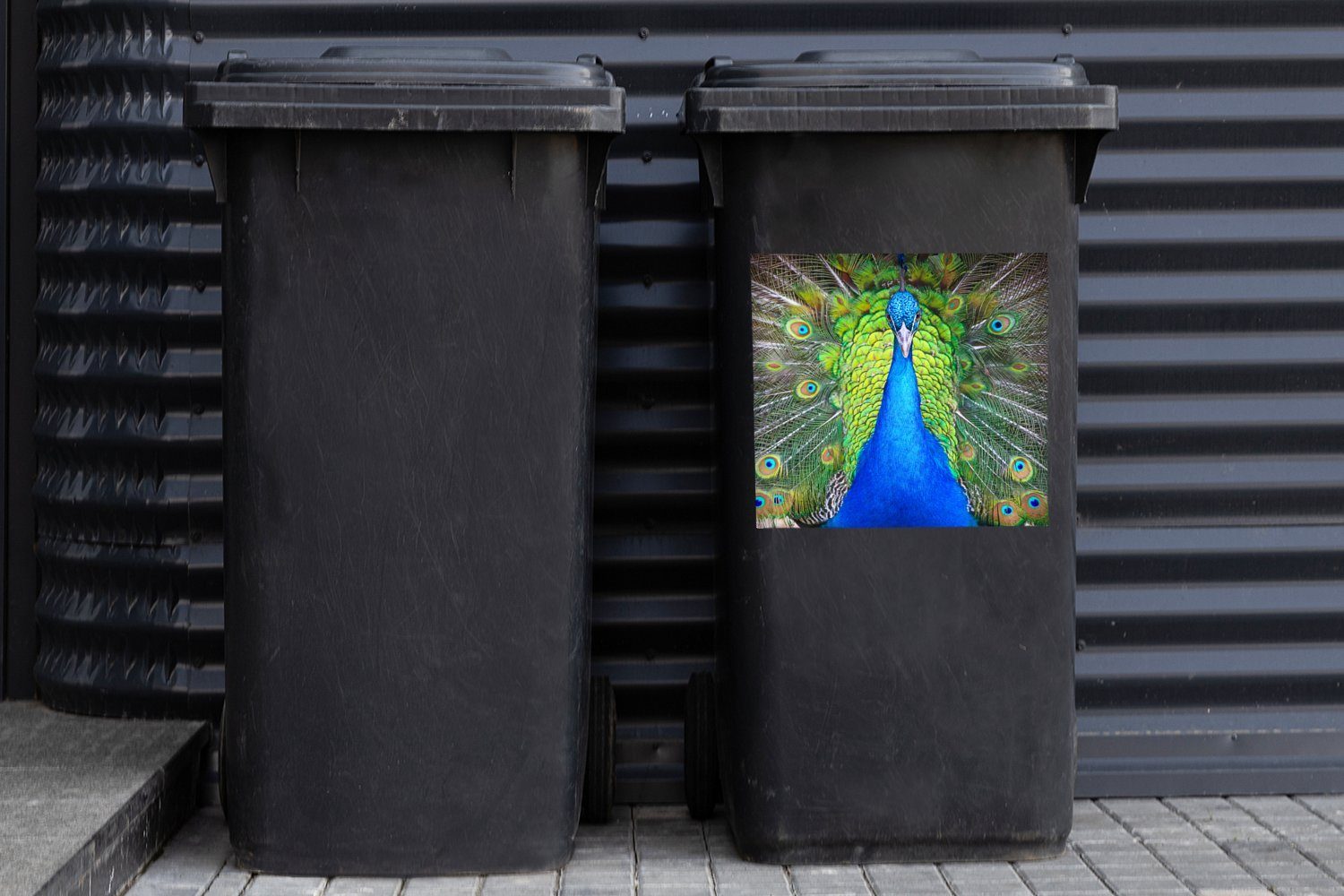 Abfalbehälter Container, (1 Grün Mülleimer-aufkleber, Sticker, Pfau Mülltonne, St), MuchoWow Wandsticker Blau - -