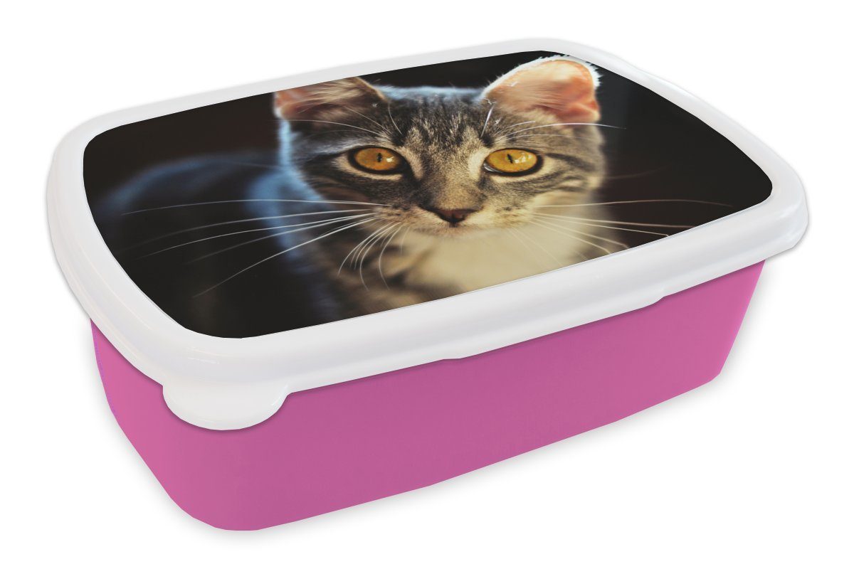 MuchoWow Lunchbox Katzen - Tiere - Augen - Grau, Kunststoff, (2-tlg), Brotbox für Erwachsene, Brotdose Kinder, Snackbox, Mädchen, Kunststoff rosa