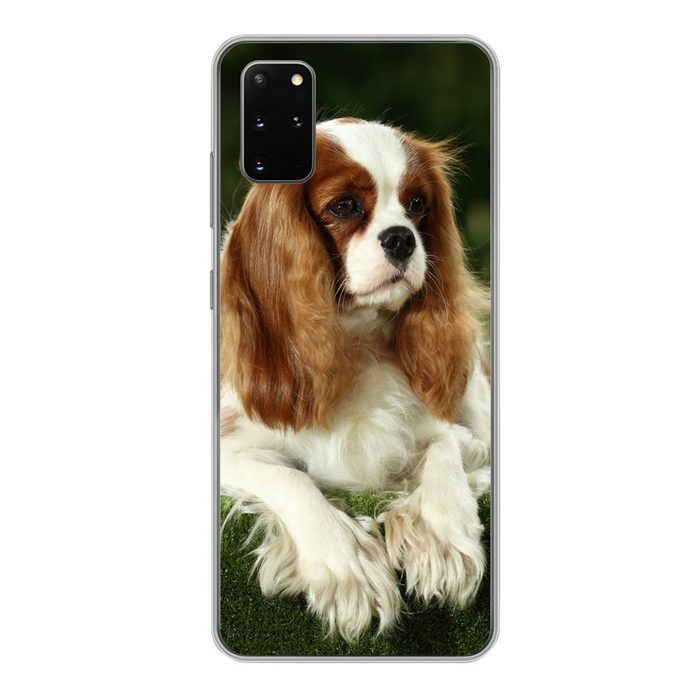 MuchoWow Handyhülle Porträt eines Cavalier King Charles Spaniels Phone Case Handyhülle Samsung Galaxy S20 Plus Silikon Schutzhülle