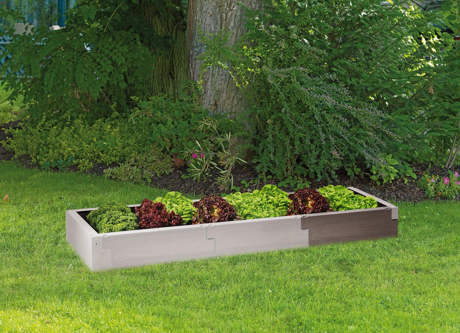 Juwel Hochbeet Juwel Hochbeet Timber ErweiterungsSet 60 x 20 cm