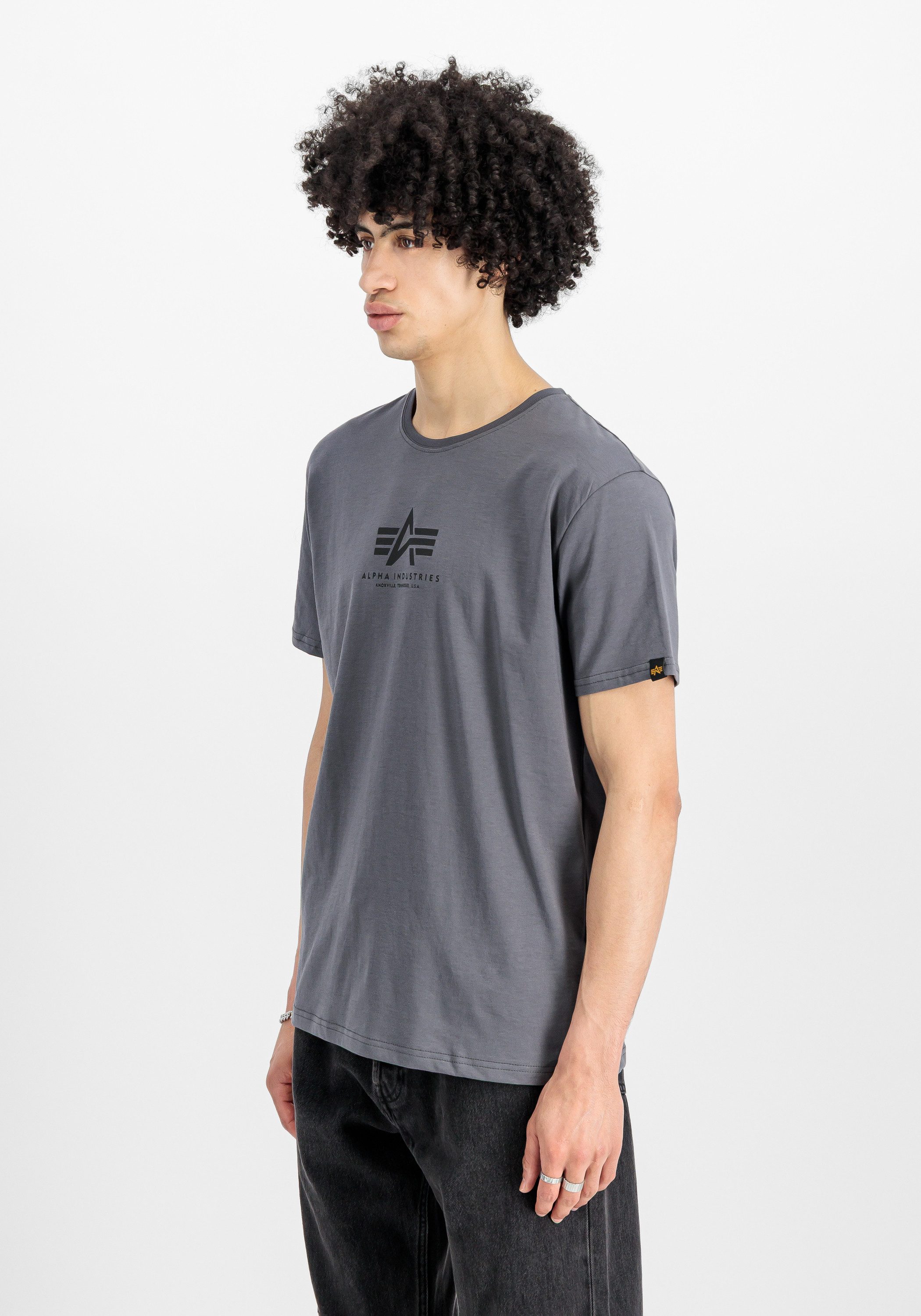 Alpha Industries T-Shirt Basic T-Shirt ML