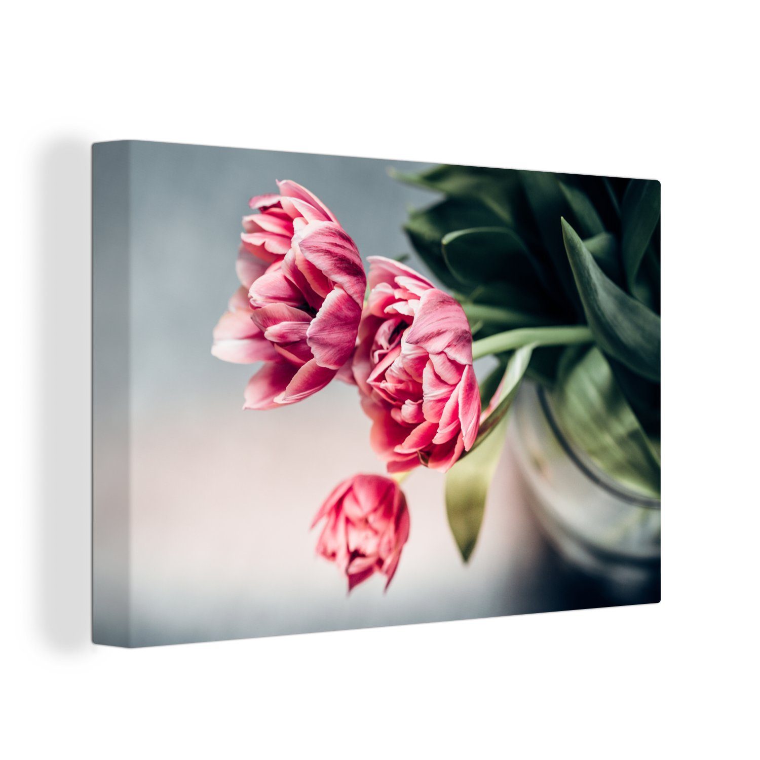 OneMillionCanvasses® Leinwandbild Blumen - Tulpen Aufhängefertig, Wanddeko, - (1 Wandbild cm Rosa, St), Leinwandbilder, 30x20