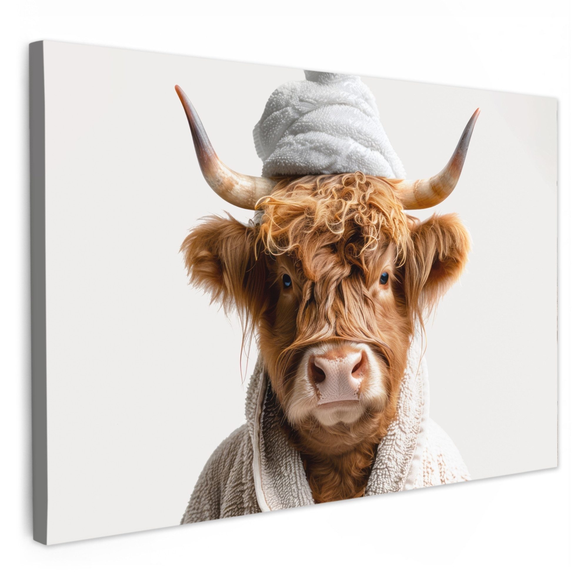 OneMillionCanvasses® Leinwandbild Schottischer Highlander - Bademantel günstig online kaufen
