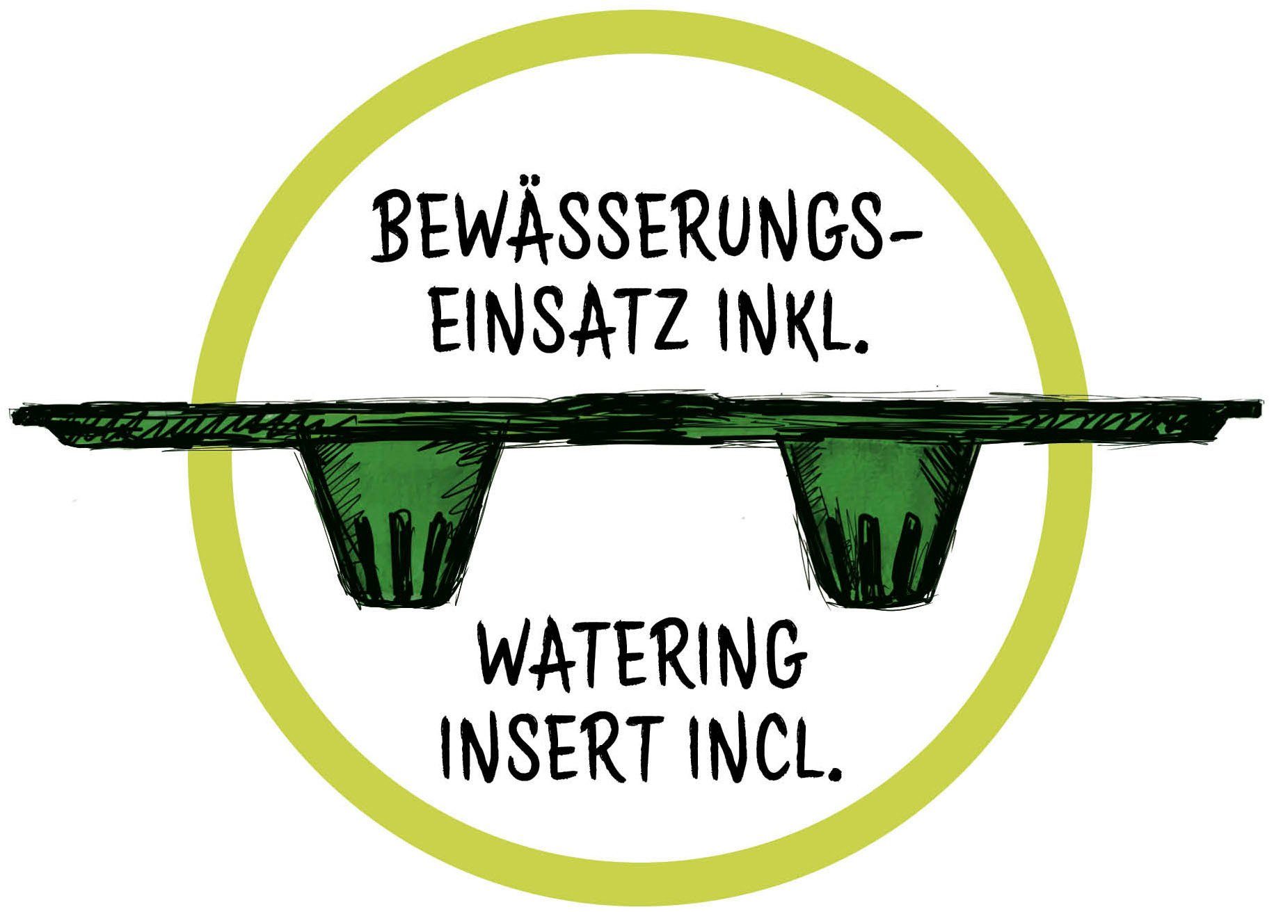 Scheurich Blumentopf 30/266 GROOVE+