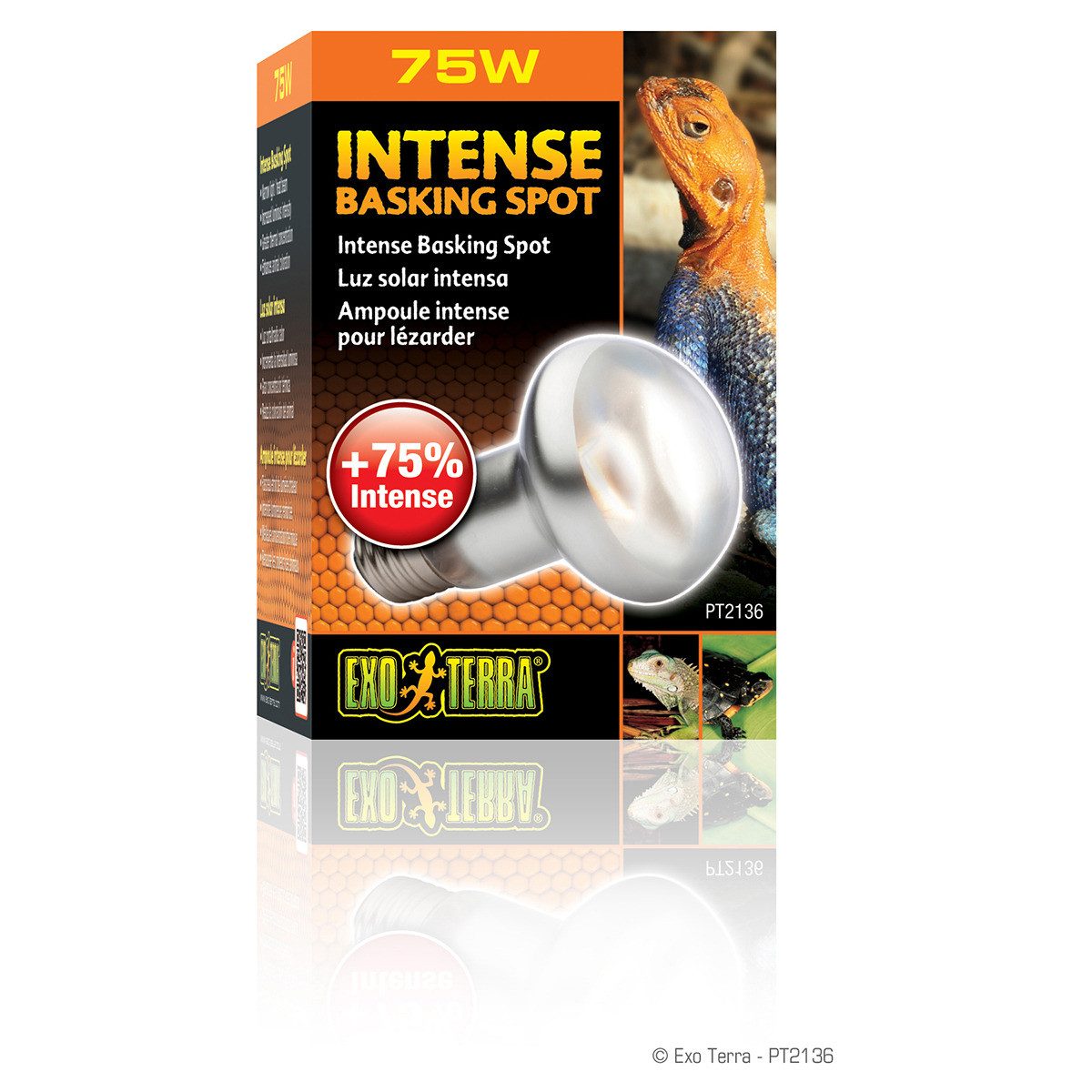 Exo Terra Terrarienleuchte Intense Basking Spot günstig online kaufen