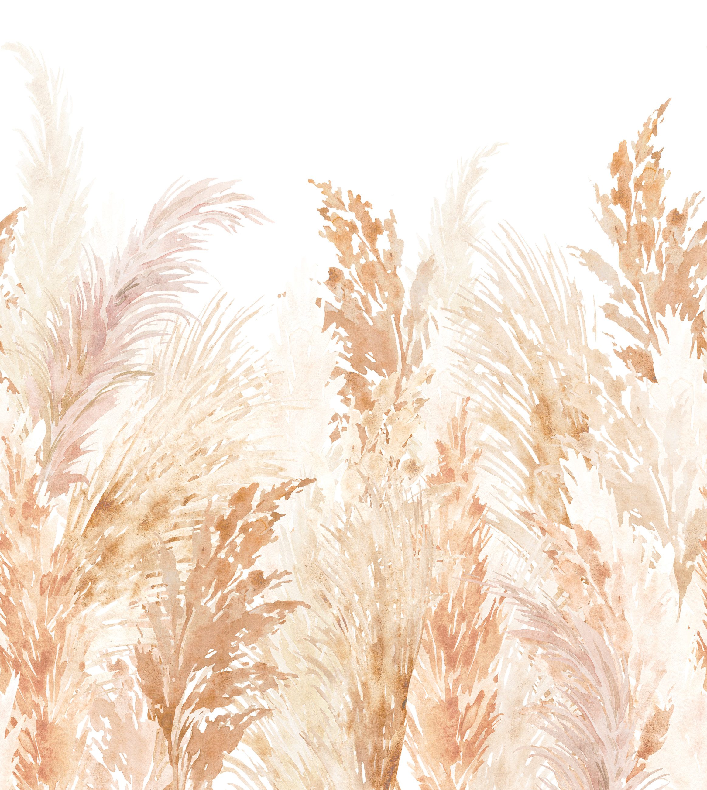Rasch Fototapete Aquarell Pampasgras in Beige - Roomblush Pampas RB470 - 2,80m x 2,50m, glatt, Aquarell, Warm, (1 Rolle, 1 St), Aquarell mit dezentem Pampasgras