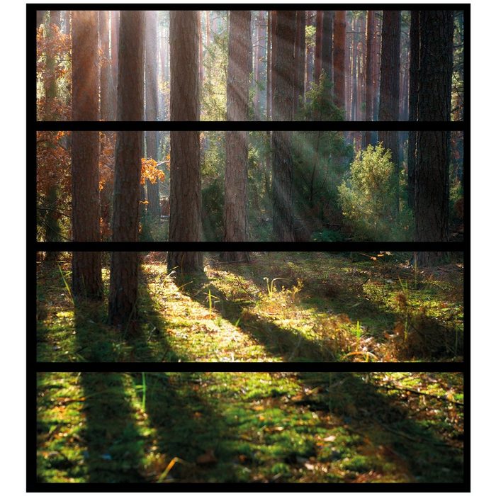 Wallario Möbelfolie Sonnenstrahlen im Herbstwald