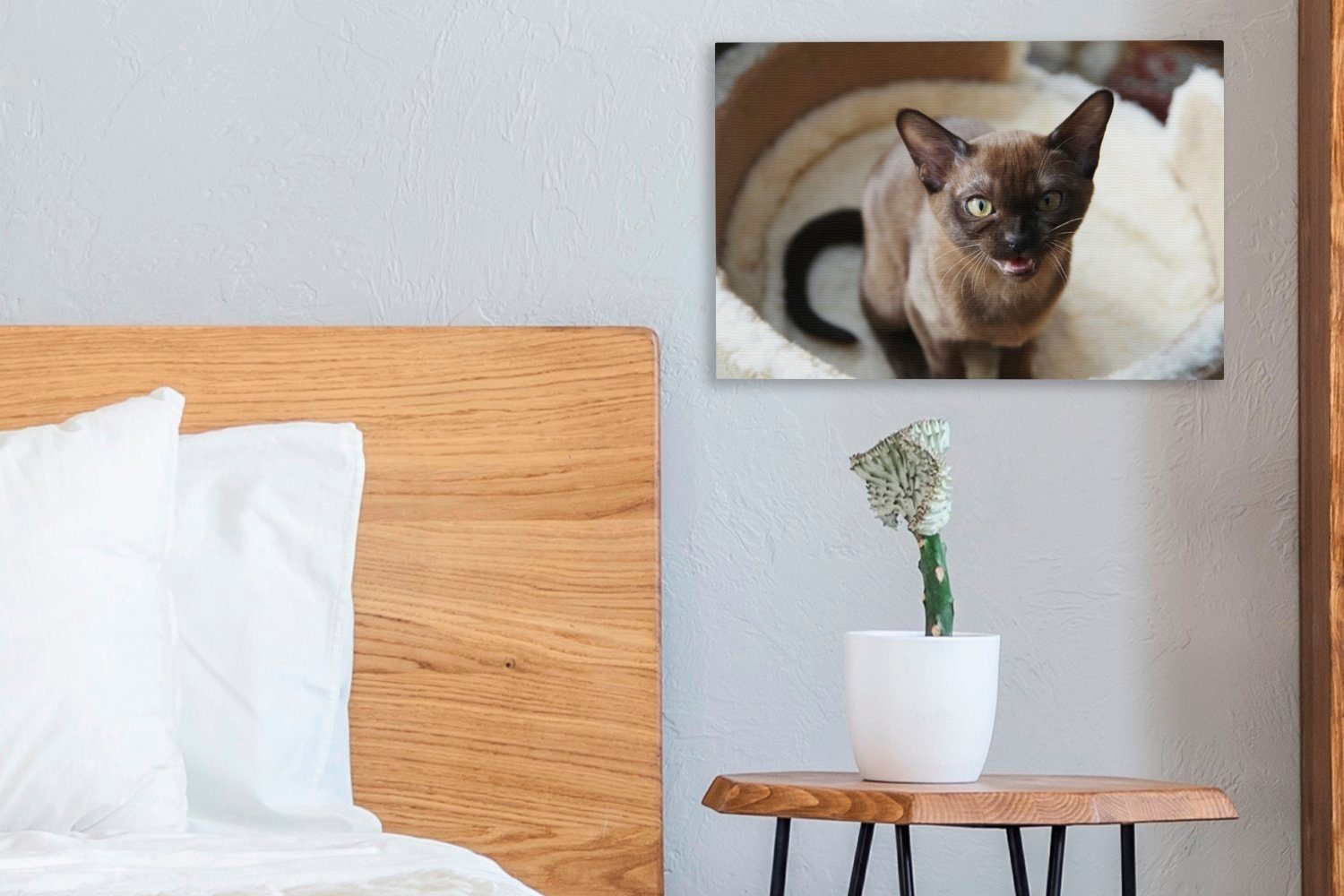Leinwandbild Katze kleine cm Leinwandbilder, burmesische im 30x20 Wanddeko, (1 Niedliche Korb, Aufhängefertig, OneMillionCanvasses® St), Wandbild
