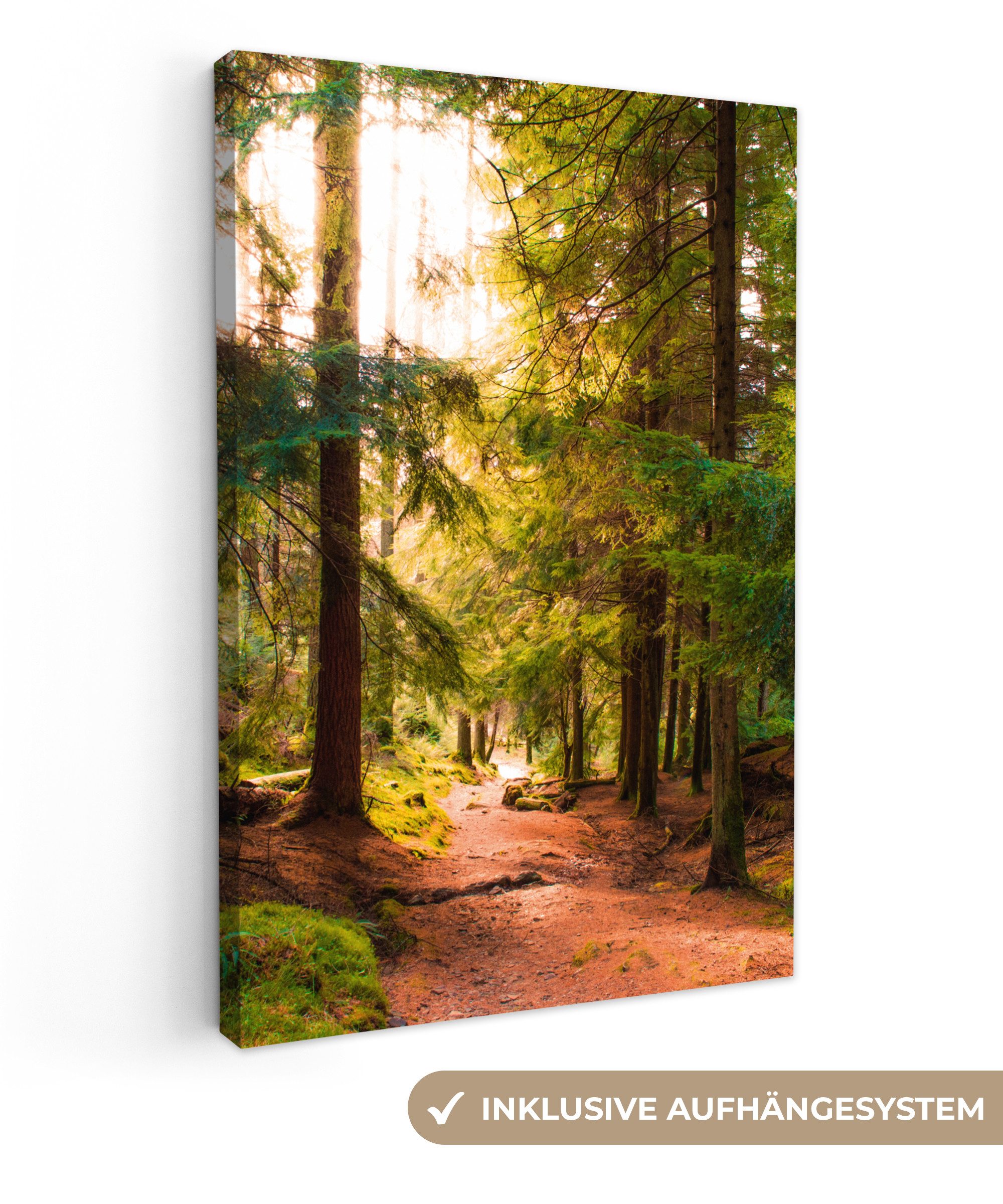OneMillionCanvasses® Leinwandbild Wald - Weg - Bäume - Grün - Sonne - Natur günstig online kaufen