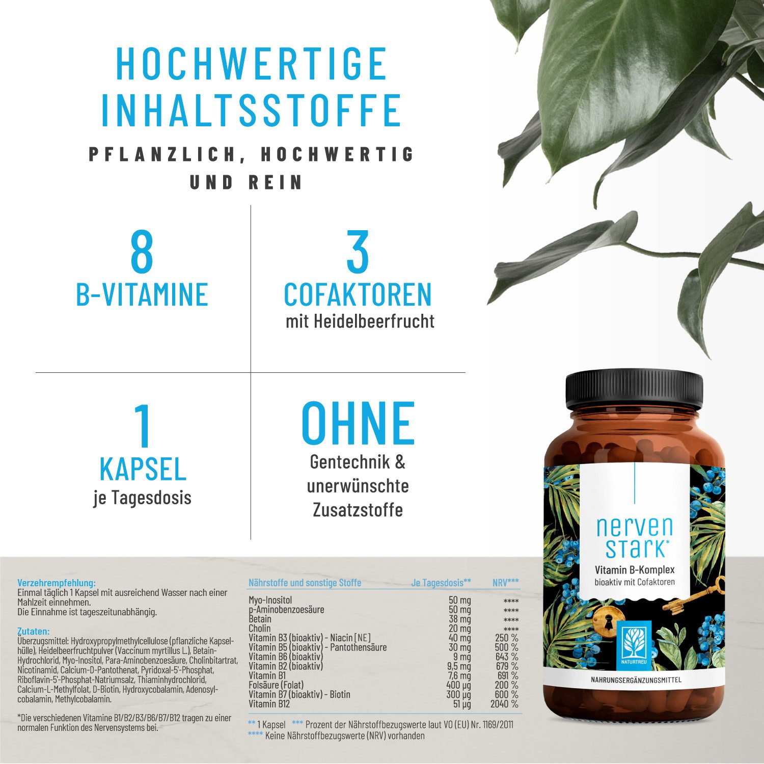 Naturtreu Nervenstark Kapseln, 1 er 120 St., 58.8 g, Durchdachte Entwicklung, Vegan, Laborgeprüft, Hochwertige Inhaltstoffe