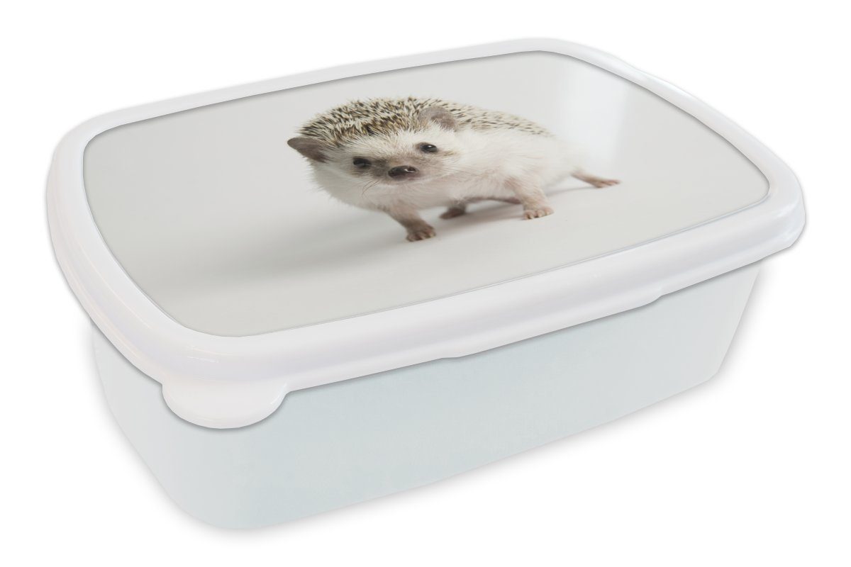 MuchoWow Lunchbox Kleiner Igel für weißen Hintergrund, Kunststoff, (2-tlg), Brotbox für Kinder und Erwachsene, Brotdose, für Jungs und Mädchen