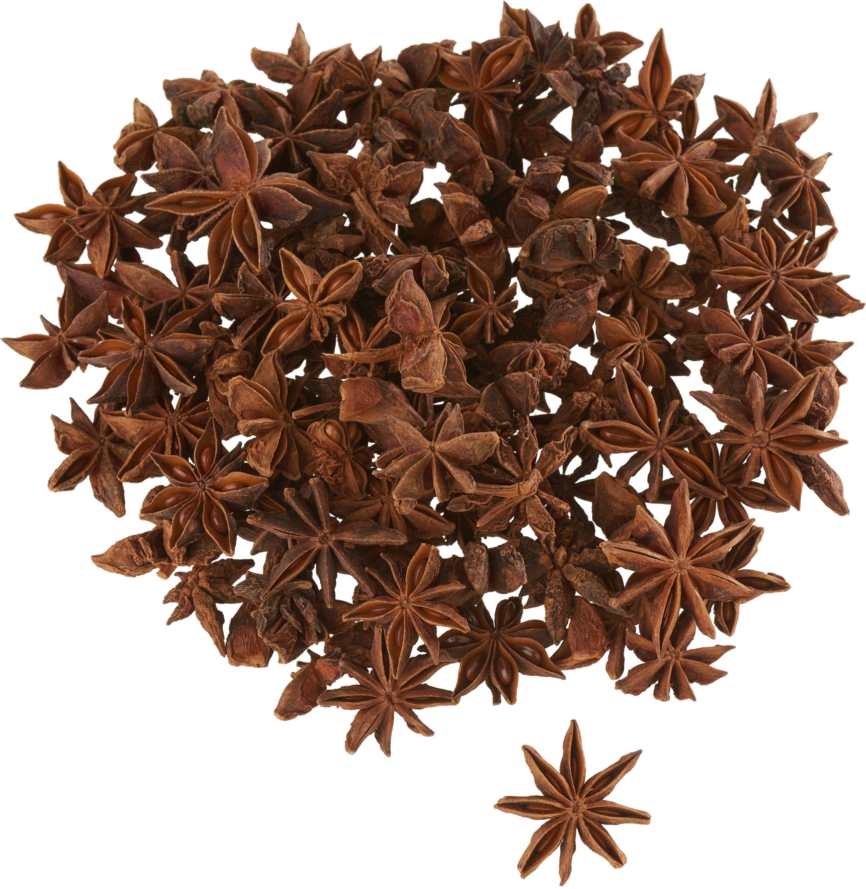 Gestecke Sternanis, 100g, 2,5cm Ø