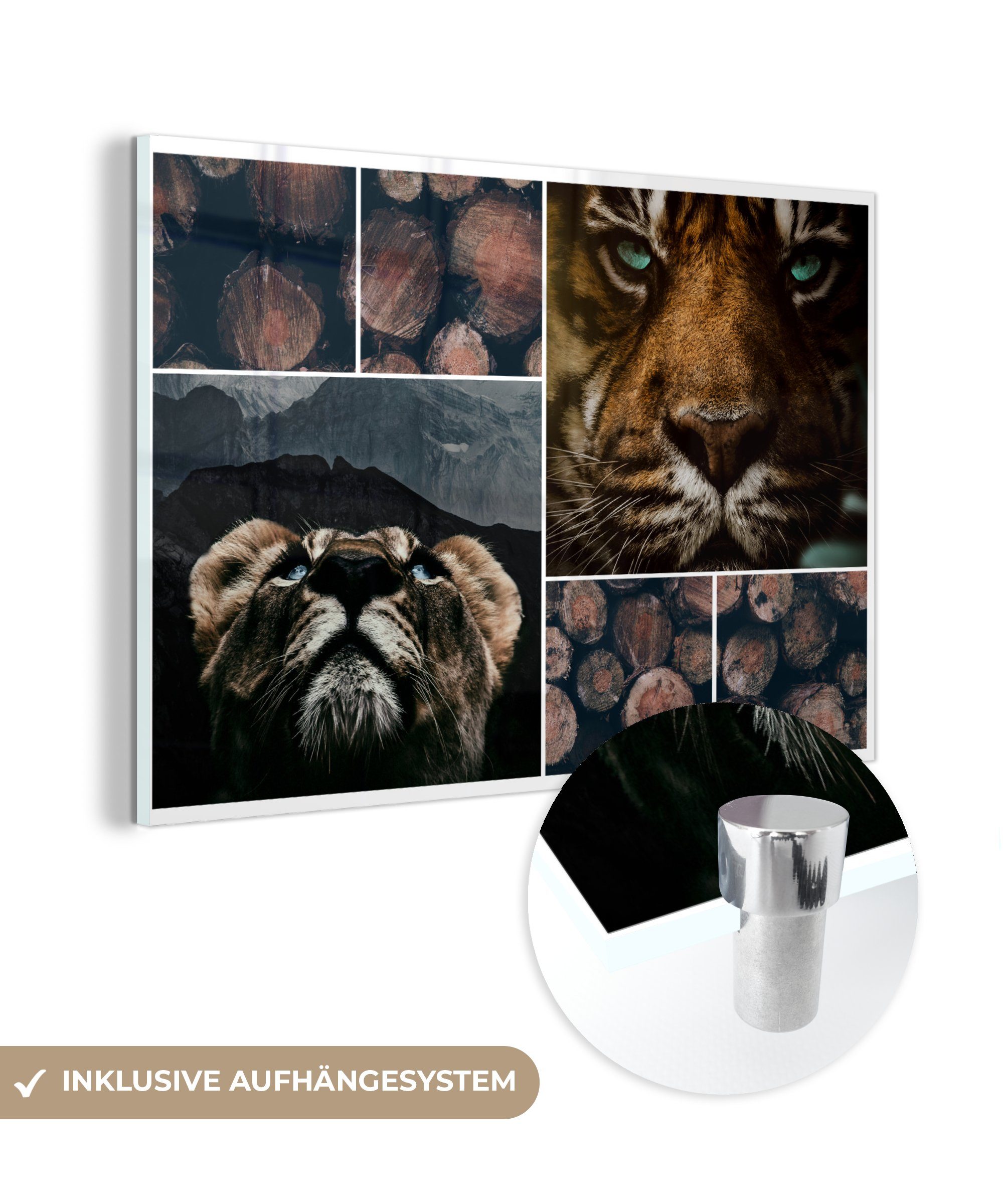 MuchoWow Acrylglasbild Collage - Tiger - Holz, (1 St), Acrylglasbilder Wohnzimmer & Schlafzimmer