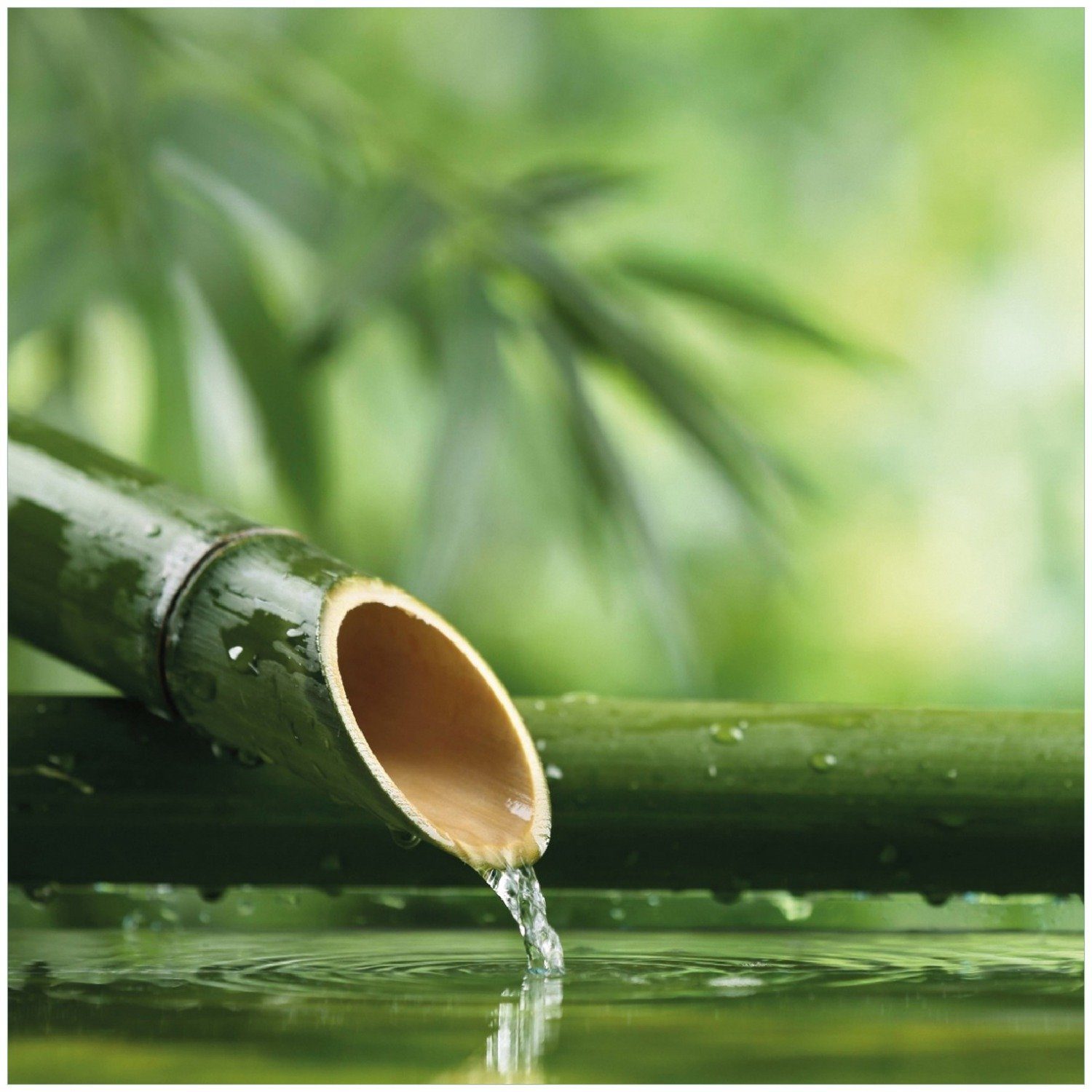 Wallario Wasser Memoboard Bambusquelle Bambusrohr mit