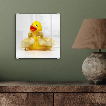 MuchoWow Acrylglasbild Bade-Ente mit zwei Baby-Enten auf weißem Hintergrund, (1 St), Glasbilder - Bilder auf Glas Wandbild - Foto auf Glas - Wanddekoration