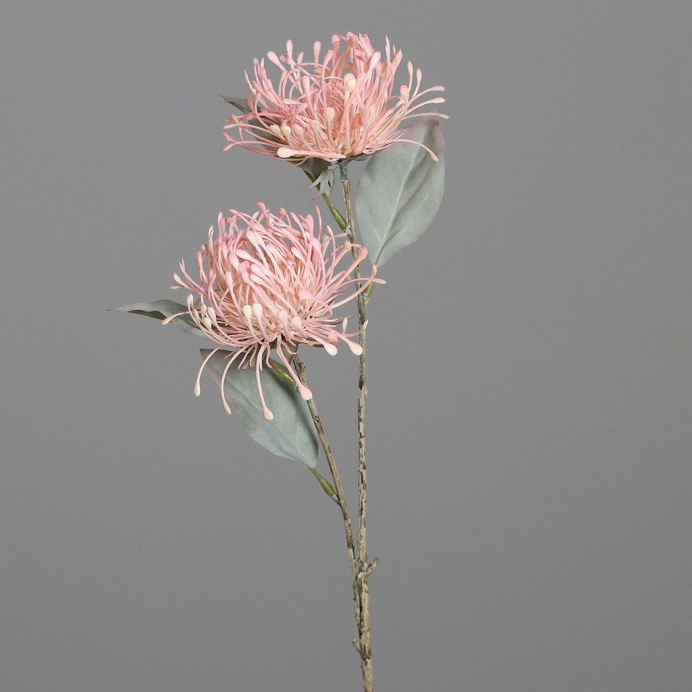Kunstblume Kunstblume - Protea - ca. günstig online kaufen
