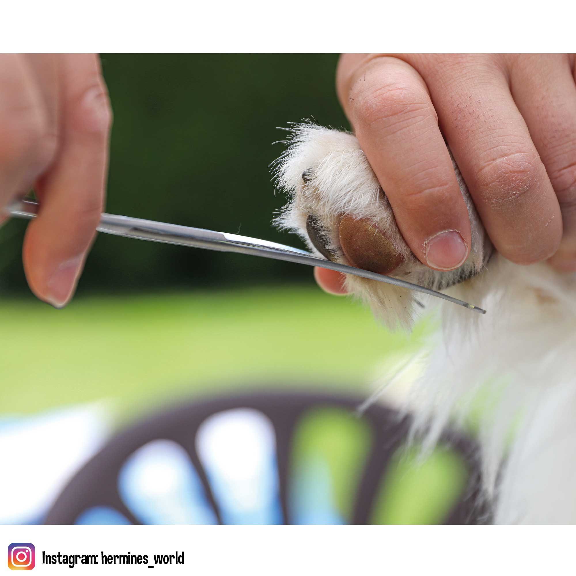 Schecker Haarschere Gebogene Hundeschere Gebogen (1-tlg), Hundefell, groß- - für