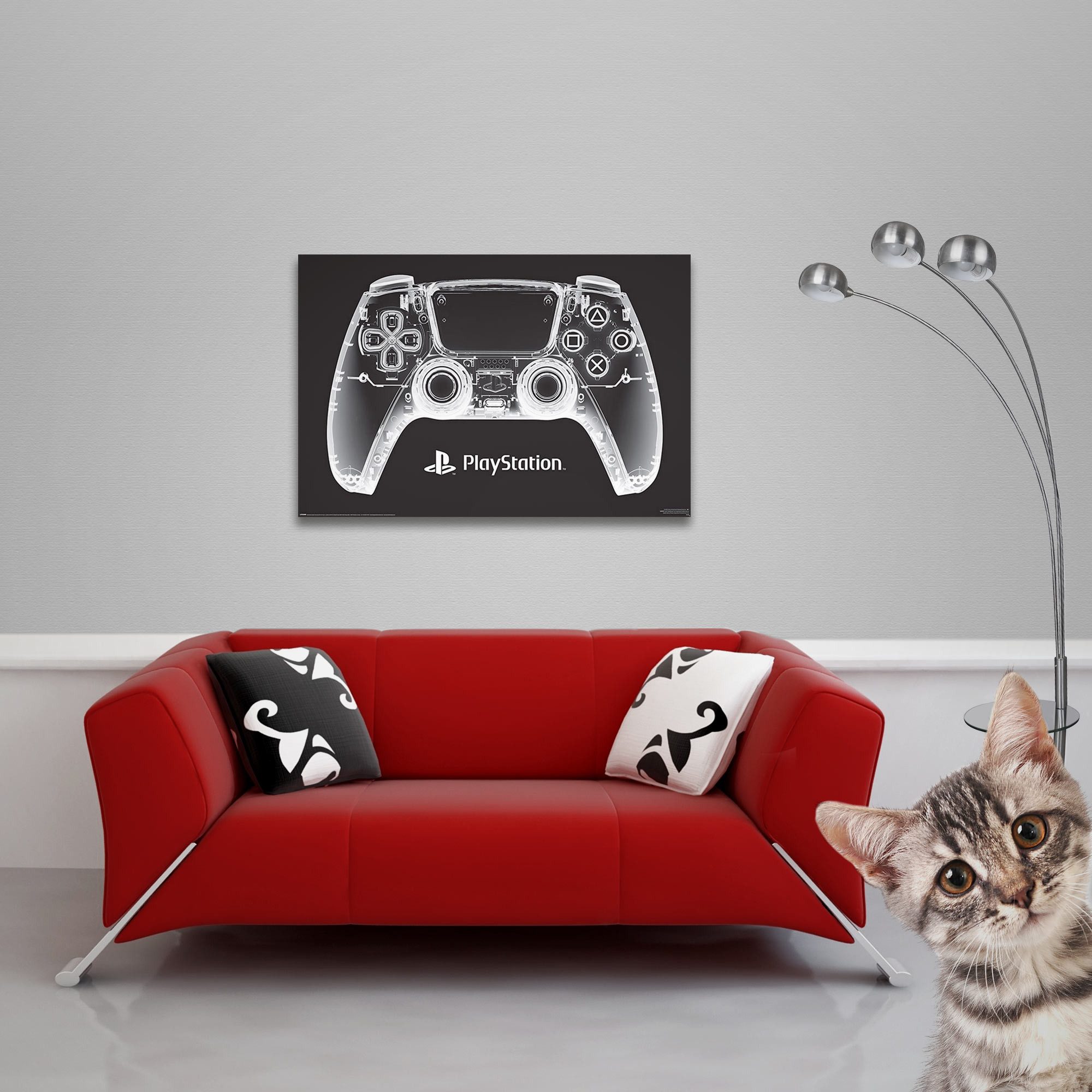 Poster PlayStation - Poster - X-Ray Pad