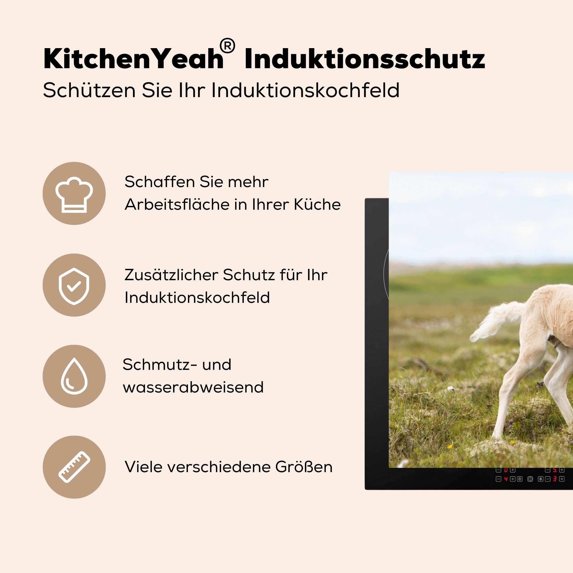 küche, Vinyl, cm, (1 MuchoWow 81x52 tlg), Herdblende-/Abdeckplatte - Fohlen Schutz Gras Induktionskochfeld für Ceranfeldabdeckung - die Natur,