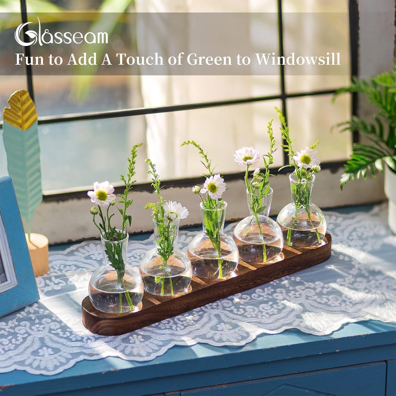 LuxusKollektion Tischvase Pflanzen Terrarium Glasvasen inkl. Holztablett Hydrokultur Deko Set