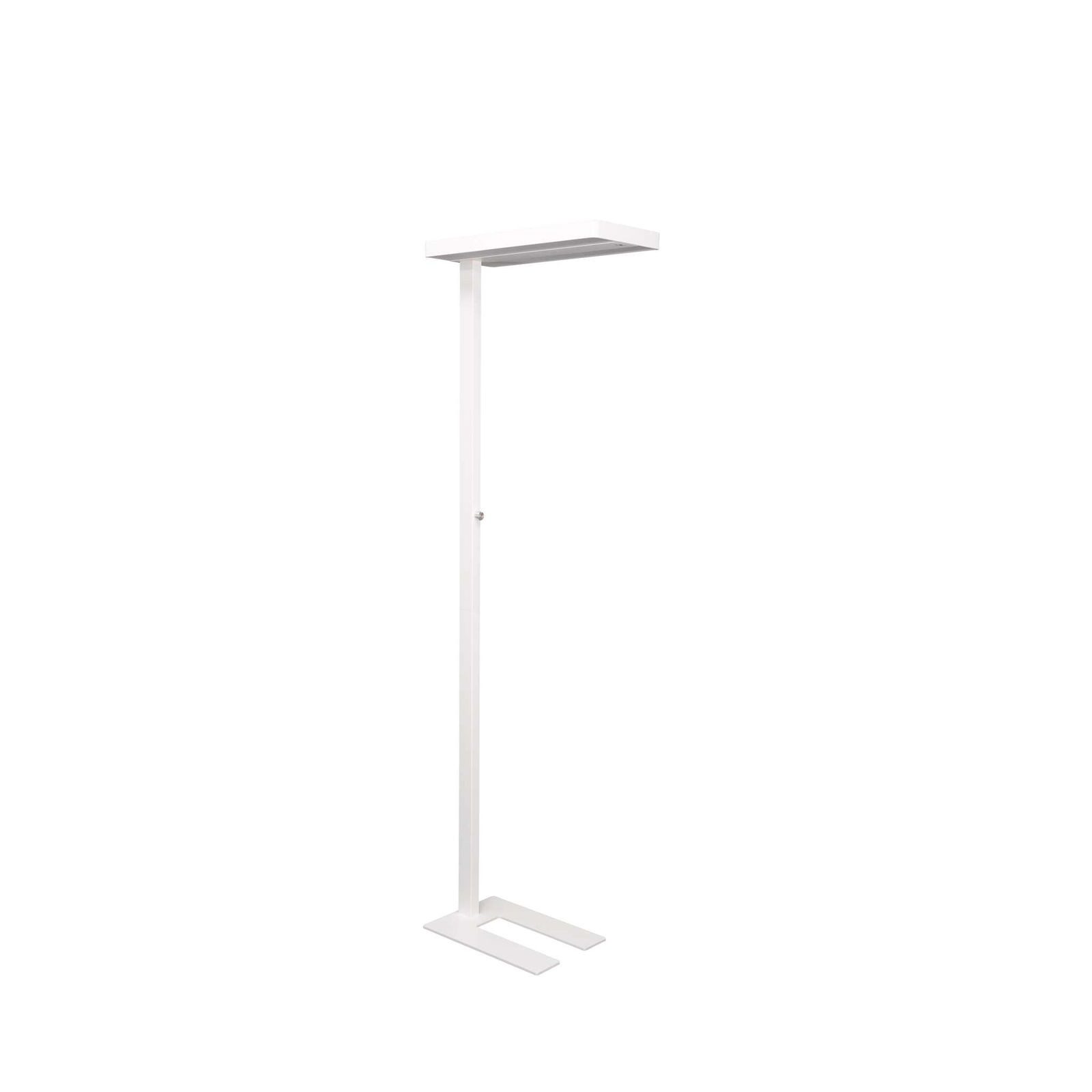 MAUL Stehlampe MAUL Standleuchte MAULjuvis LED 4.000 K dimmbar Standfuß 196 cm weiß, LED wechselbar